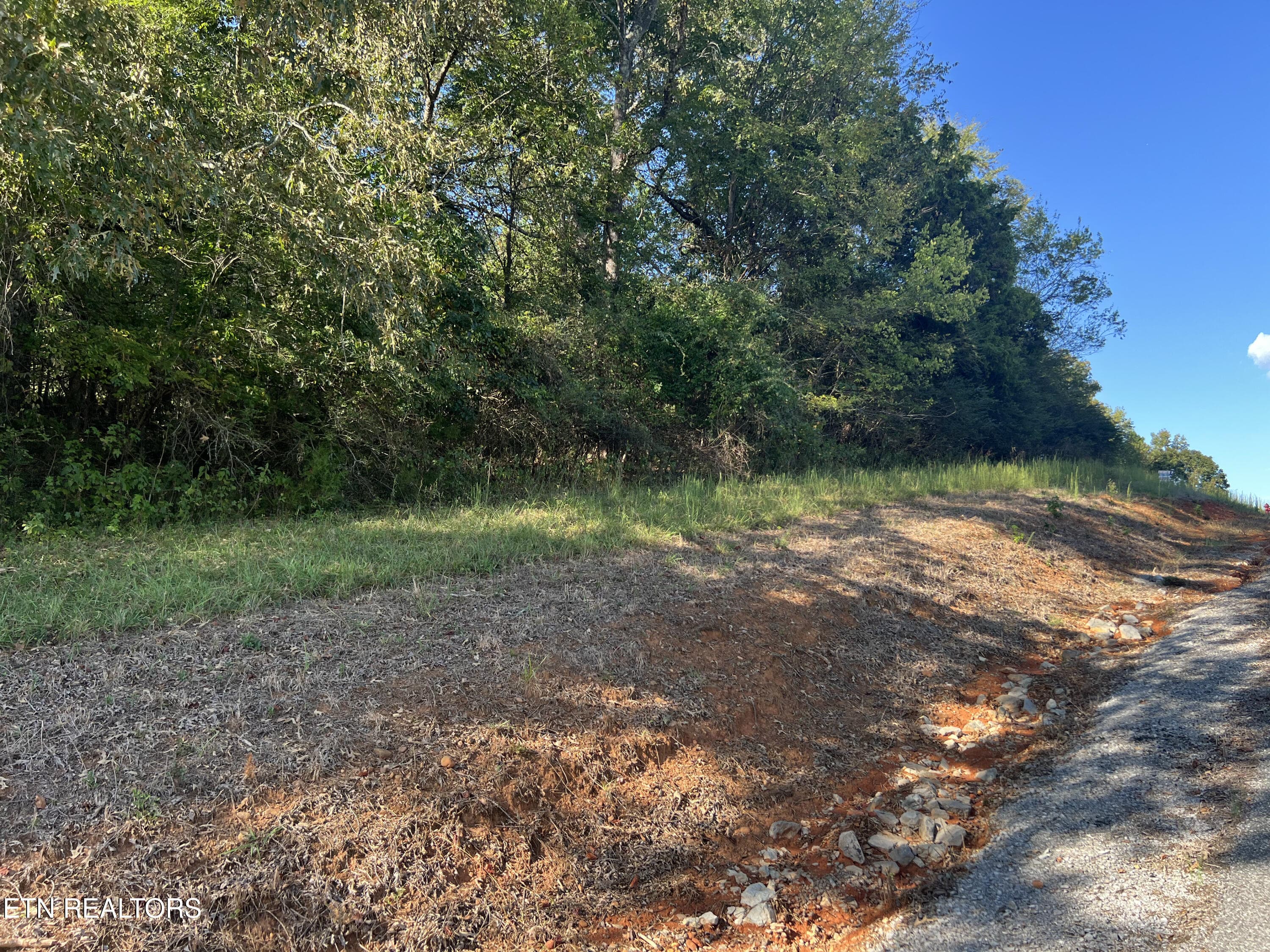 IMG_5951 - Lot 34 Goodfield Terrace, Decatur, TN 37322