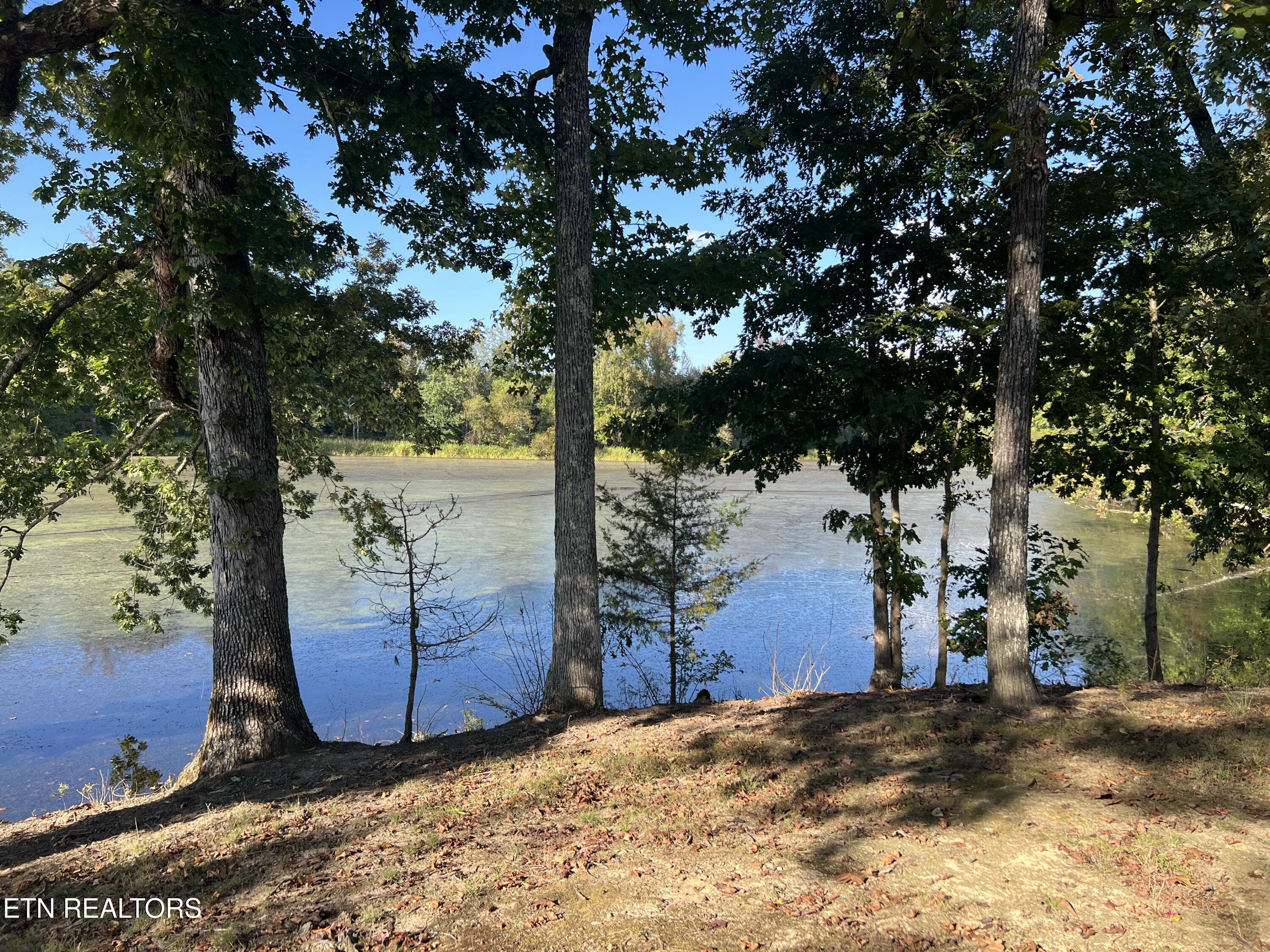 IMG_5958 - Lot 34 Goodfield Terrace, Decatur, TN 37322