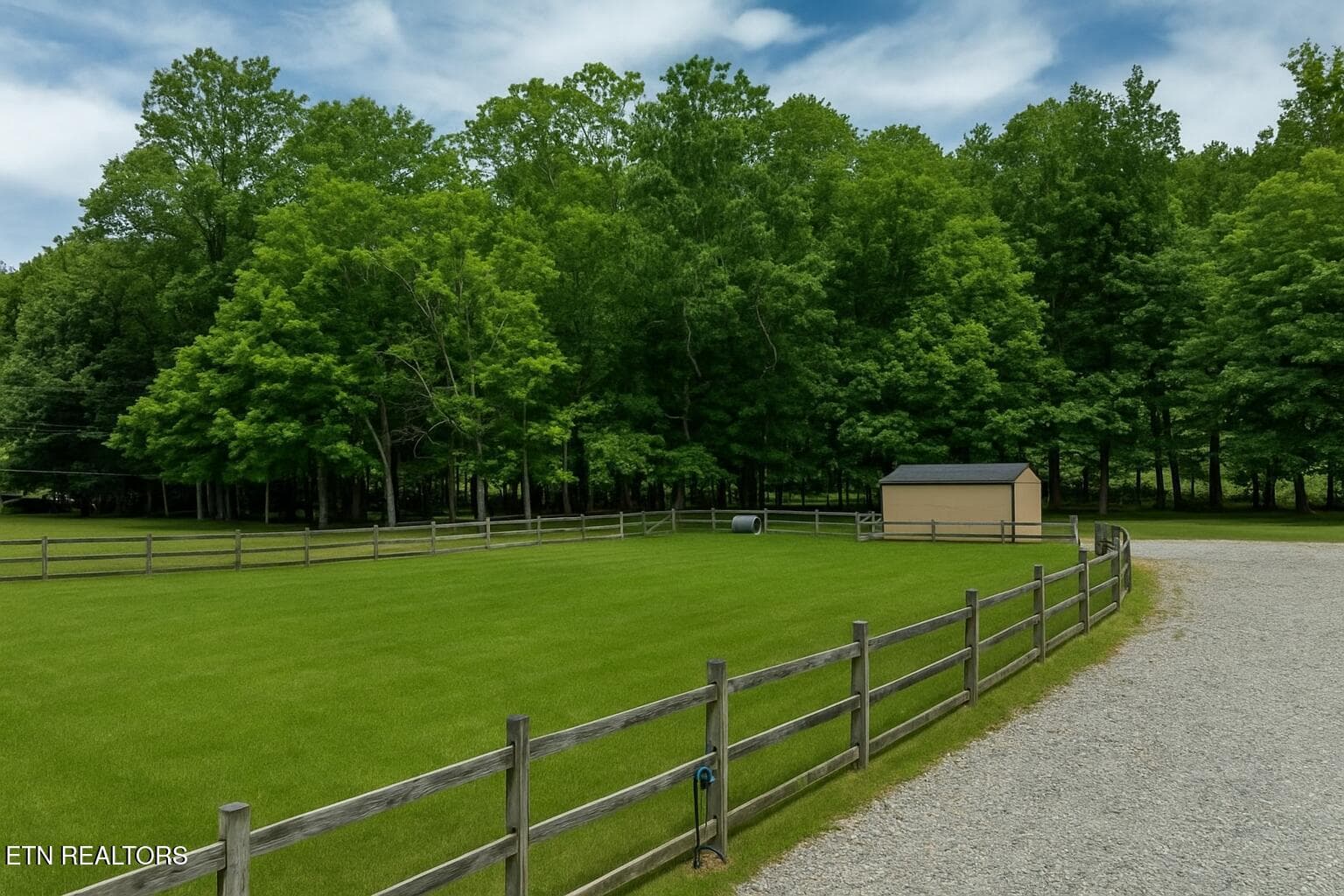 Side yard - 2353 Highway 107, Unicoi, TN 37692
