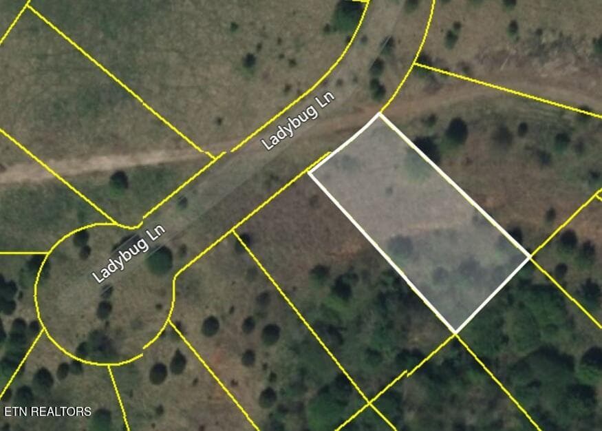 Satellite close-up - 417 Ladybug Lane, Loudon, TN 37774