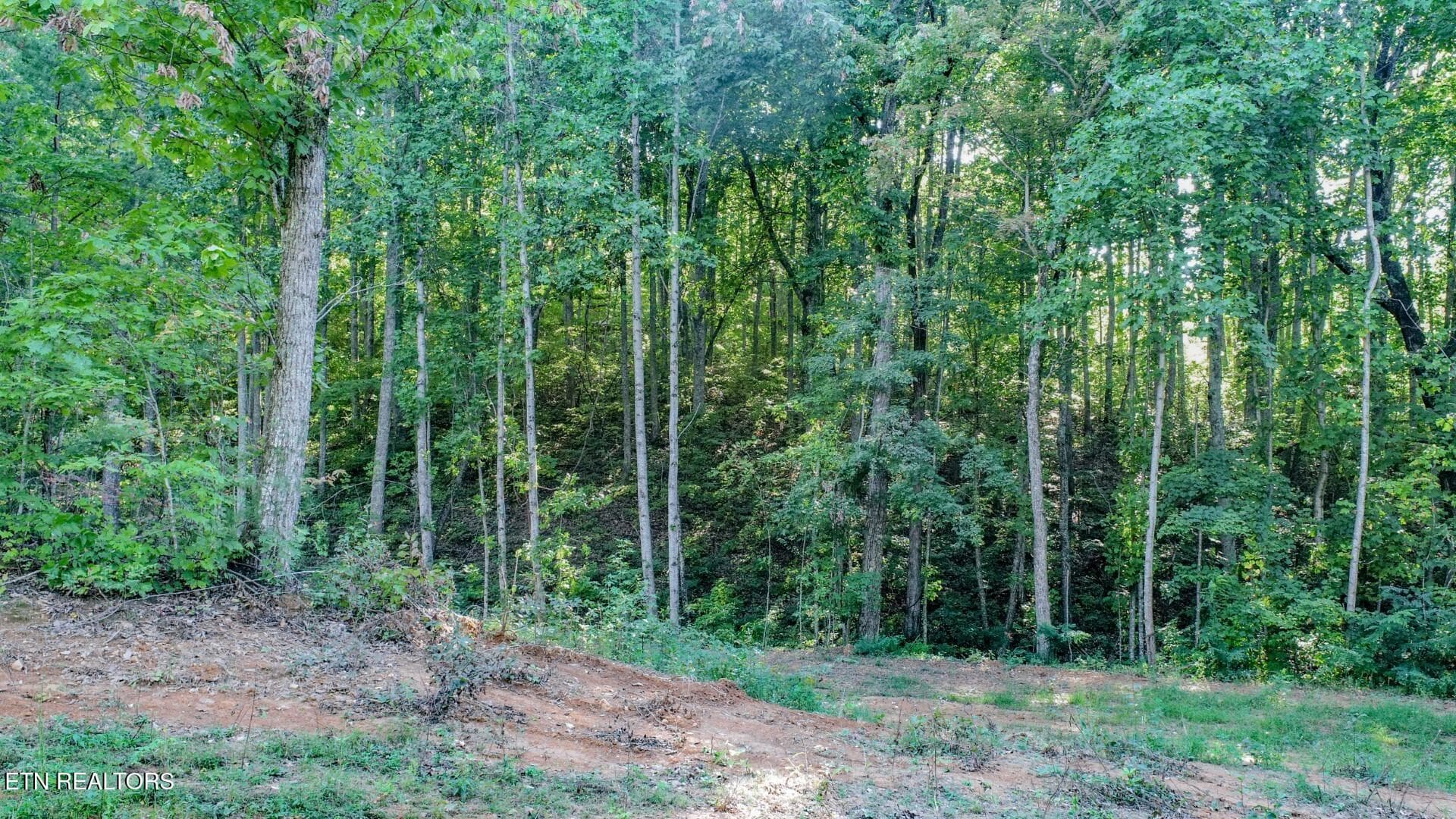 11 - 151 Delicious Way, Newport, TN 37821