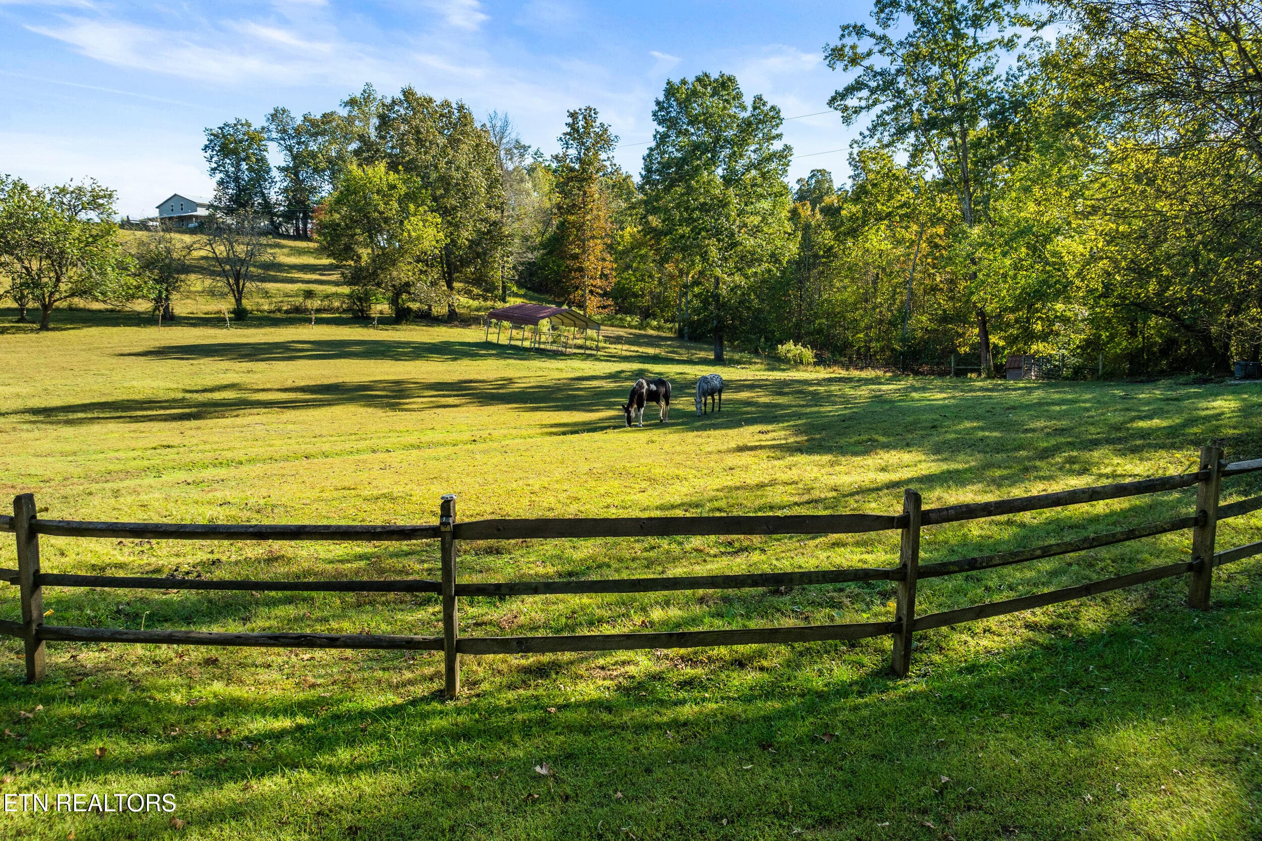 228 pattie gap road-51 - 228 Pattie Gap Rd, Philadelphia, TN 37846, Philadelphia