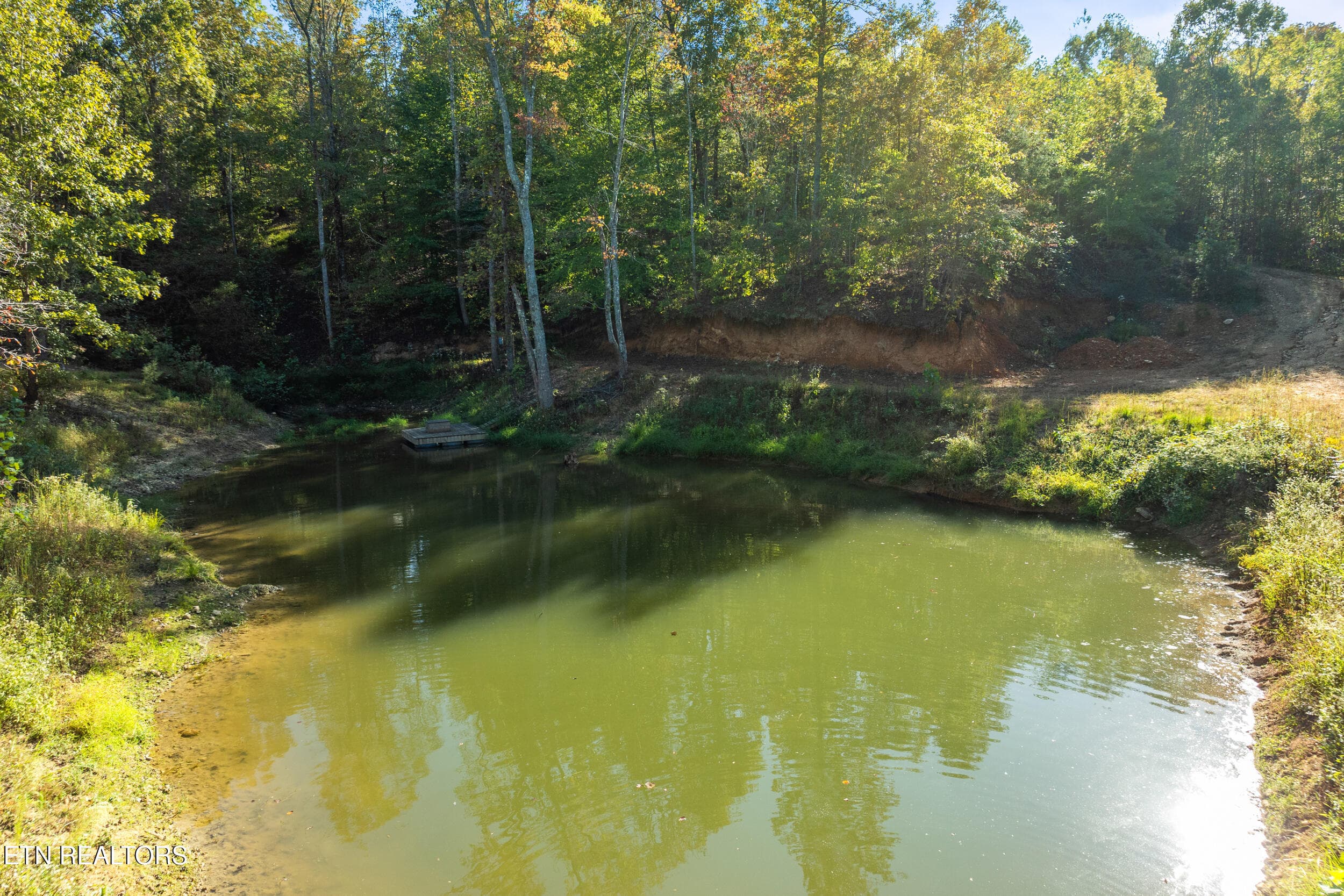 228 pattie gap road-58 - 228 Pattie Gap Rd, Philadelphia, TN 37846, Philadelphia