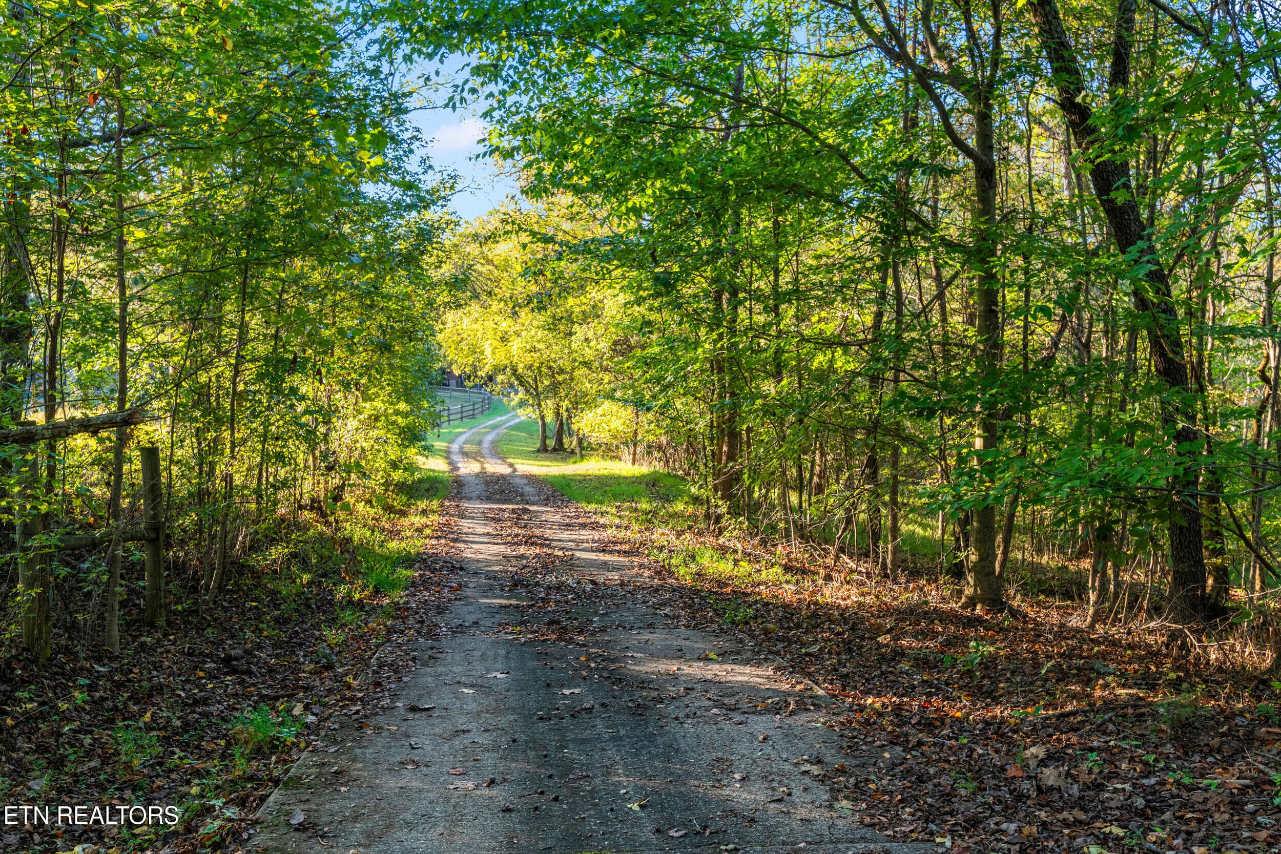 228 pattie gap road-59 - 228 Pattie Gap Rd, Philadelphia, TN 37846, Philadelphia