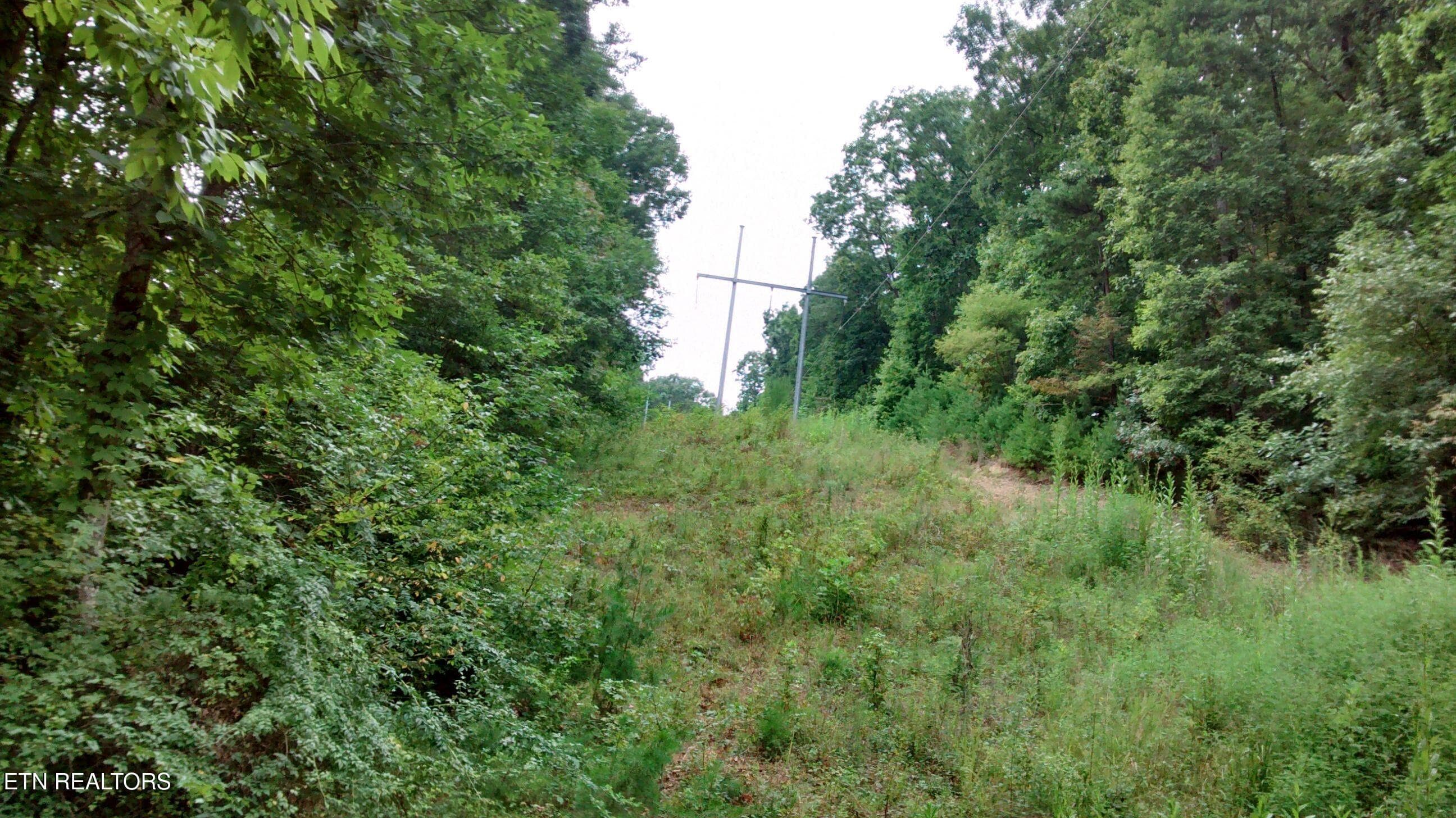 20140915214514944165000000-o - Tuskegee Drive, Oak Ridge, TN 37830