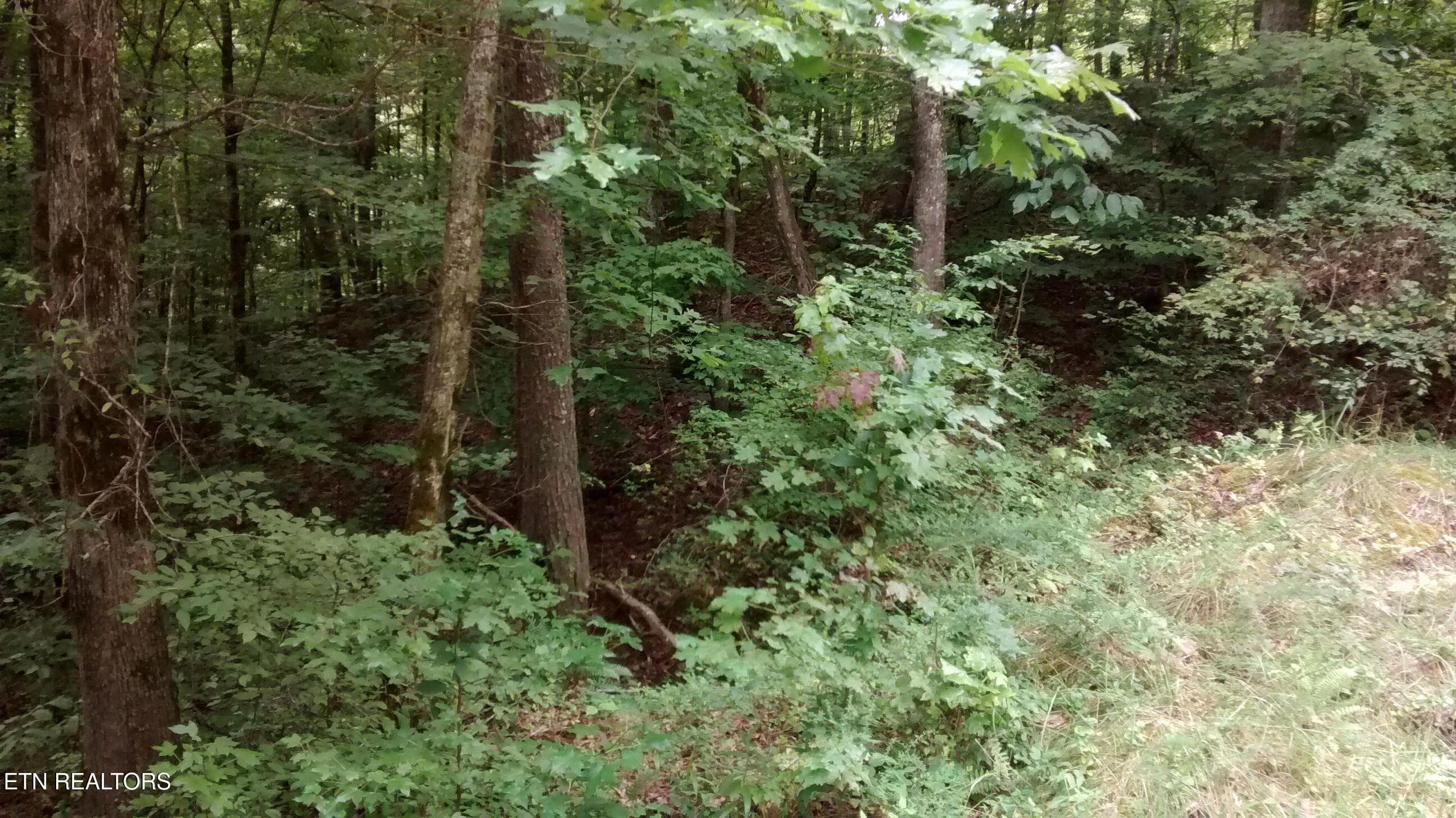 20140915214559239415000000-o - Tuskegee Drive, Oak Ridge, TN 37830