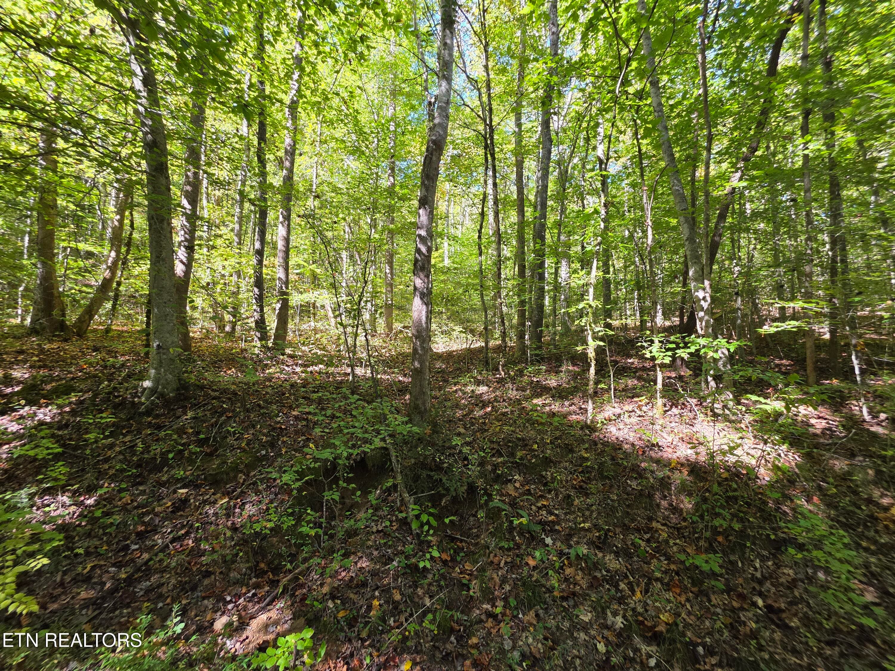 1000005598 - Tuskegee Drive, Oak Ridge, TN 37830