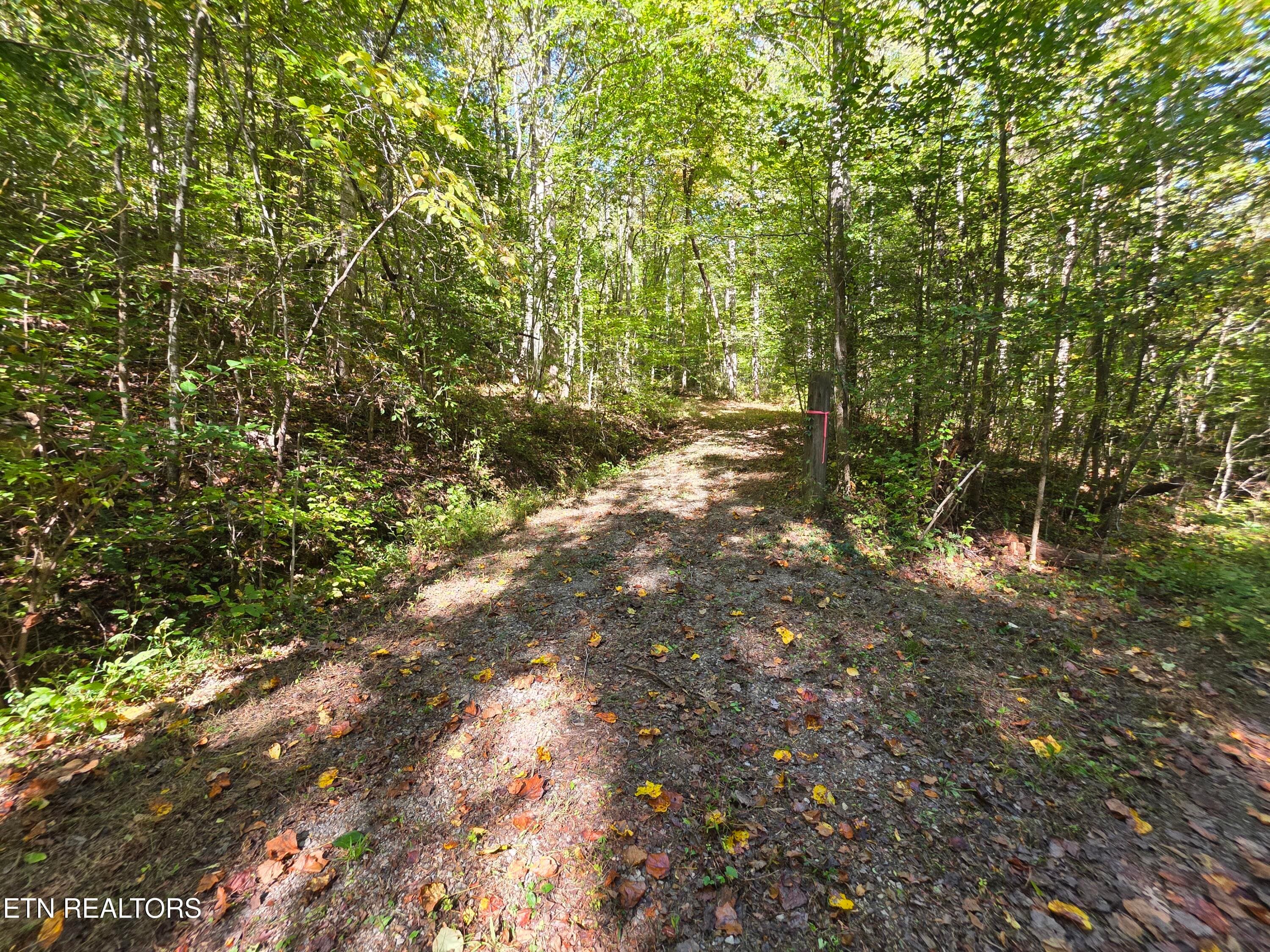 1000005599 - Tuskegee Drive, Oak Ridge, TN 37830