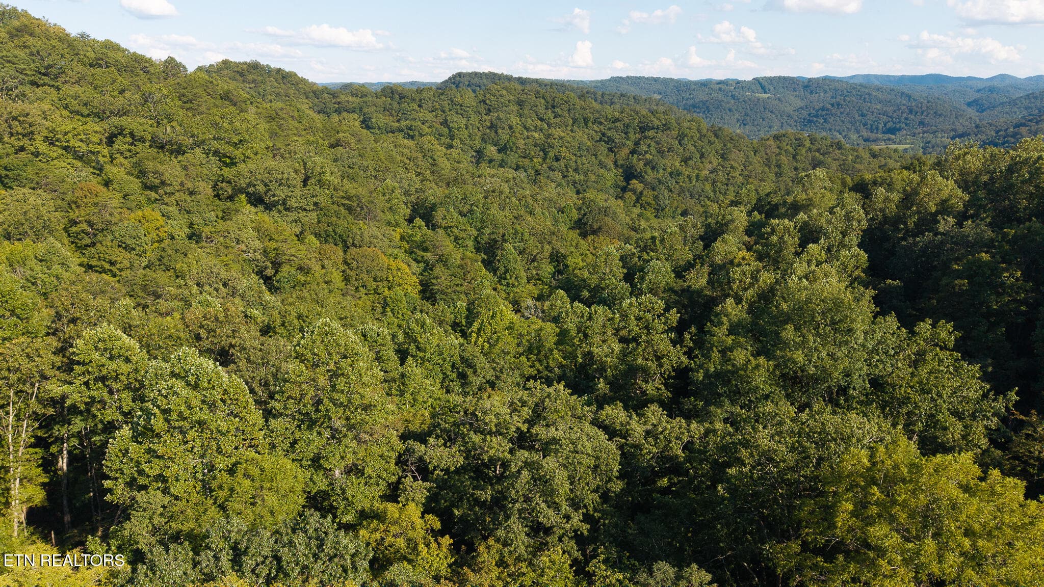 32.38 AC Off Panther Creek Rd, Sneedville, TN 37869