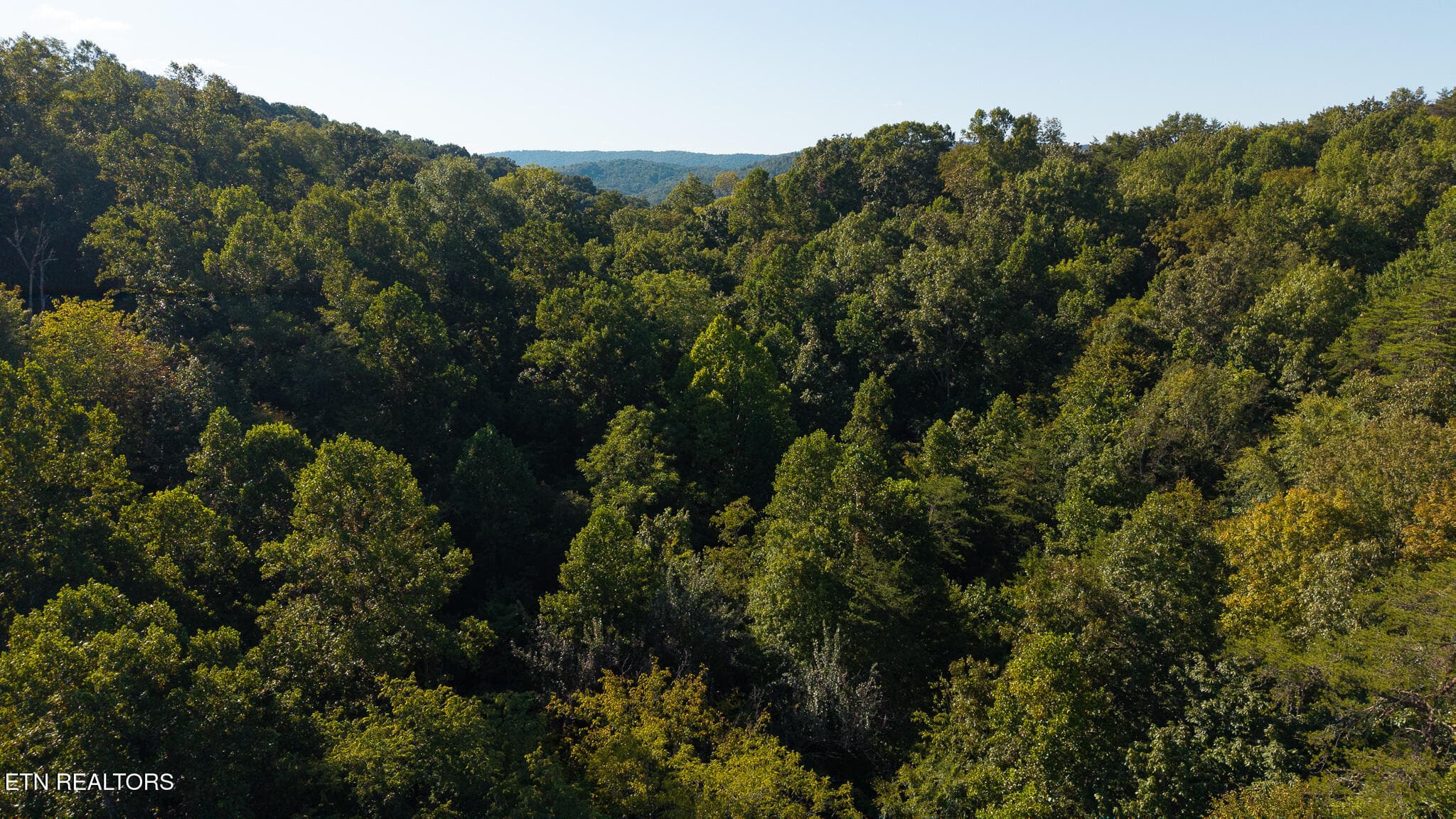 DJI_20250830173530_0376_D - 32.38 AC Off Panther Creek Rd, Sneedville, TN 37869