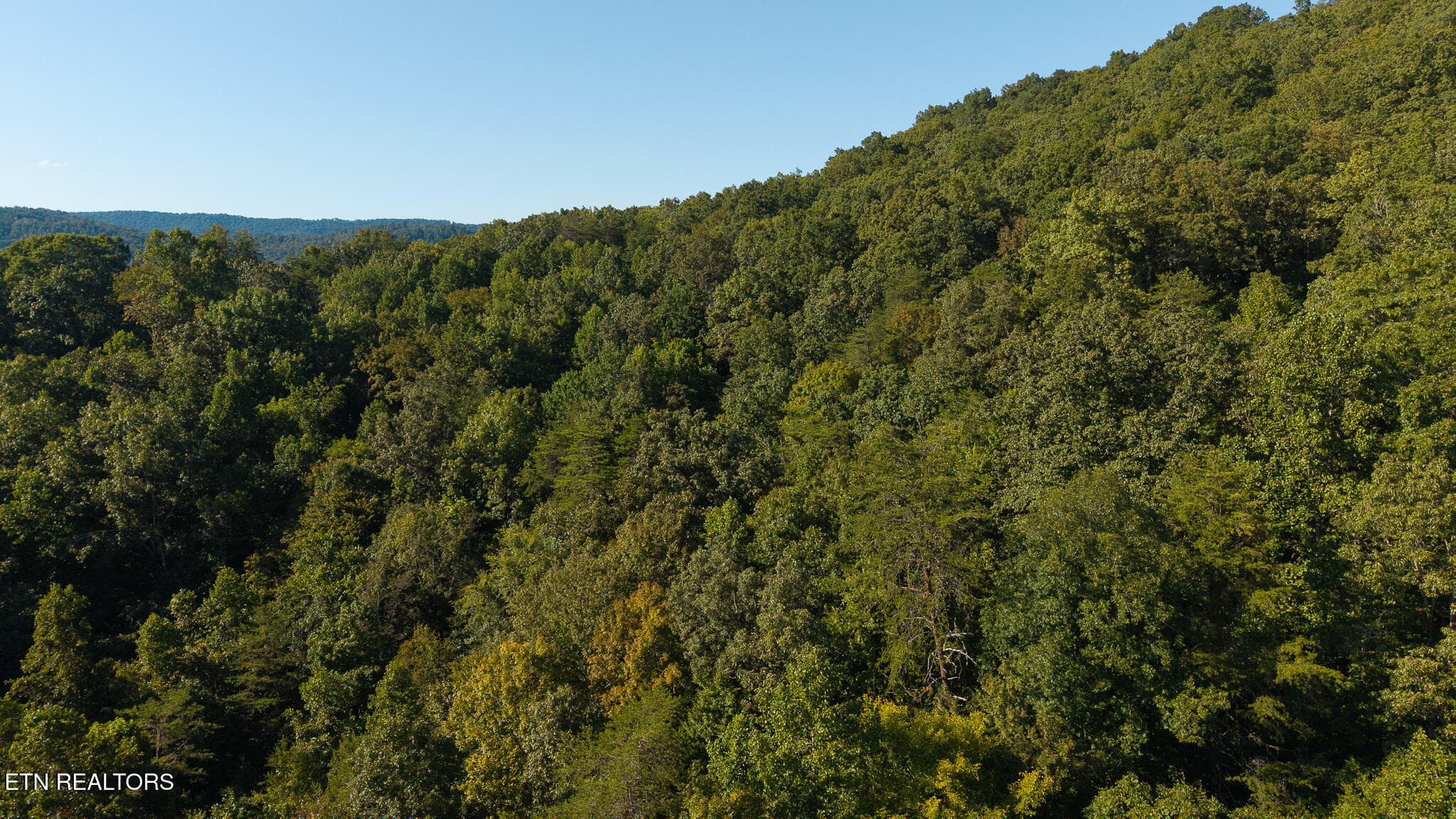 DJI_20250830173612_0377_D - 32.38 AC Off Panther Creek Rd, Sneedville, TN 37869