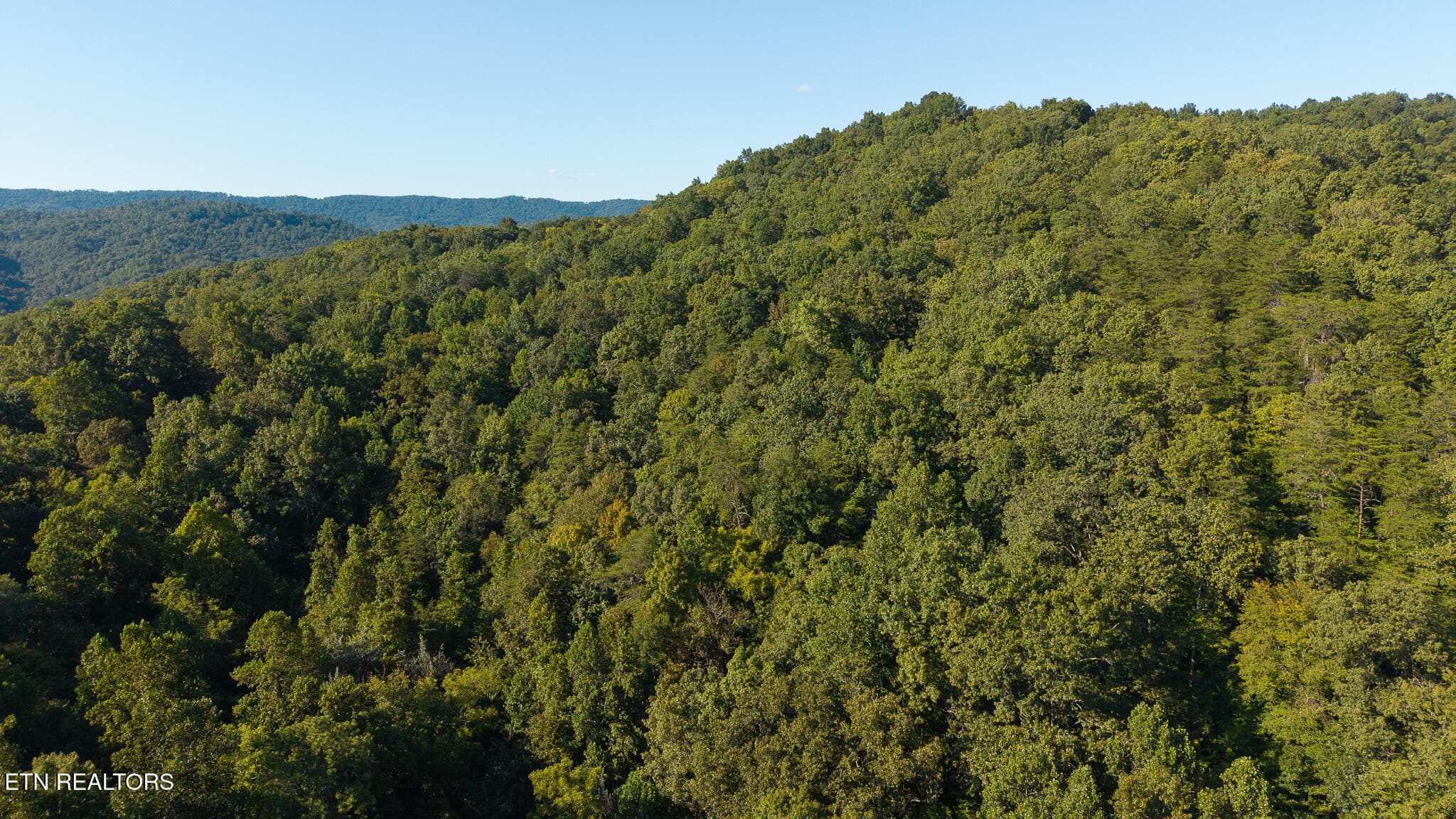 DJI_20250830173623_0378_D - 32.38 AC Off Panther Creek Rd, Sneedville, TN 37869