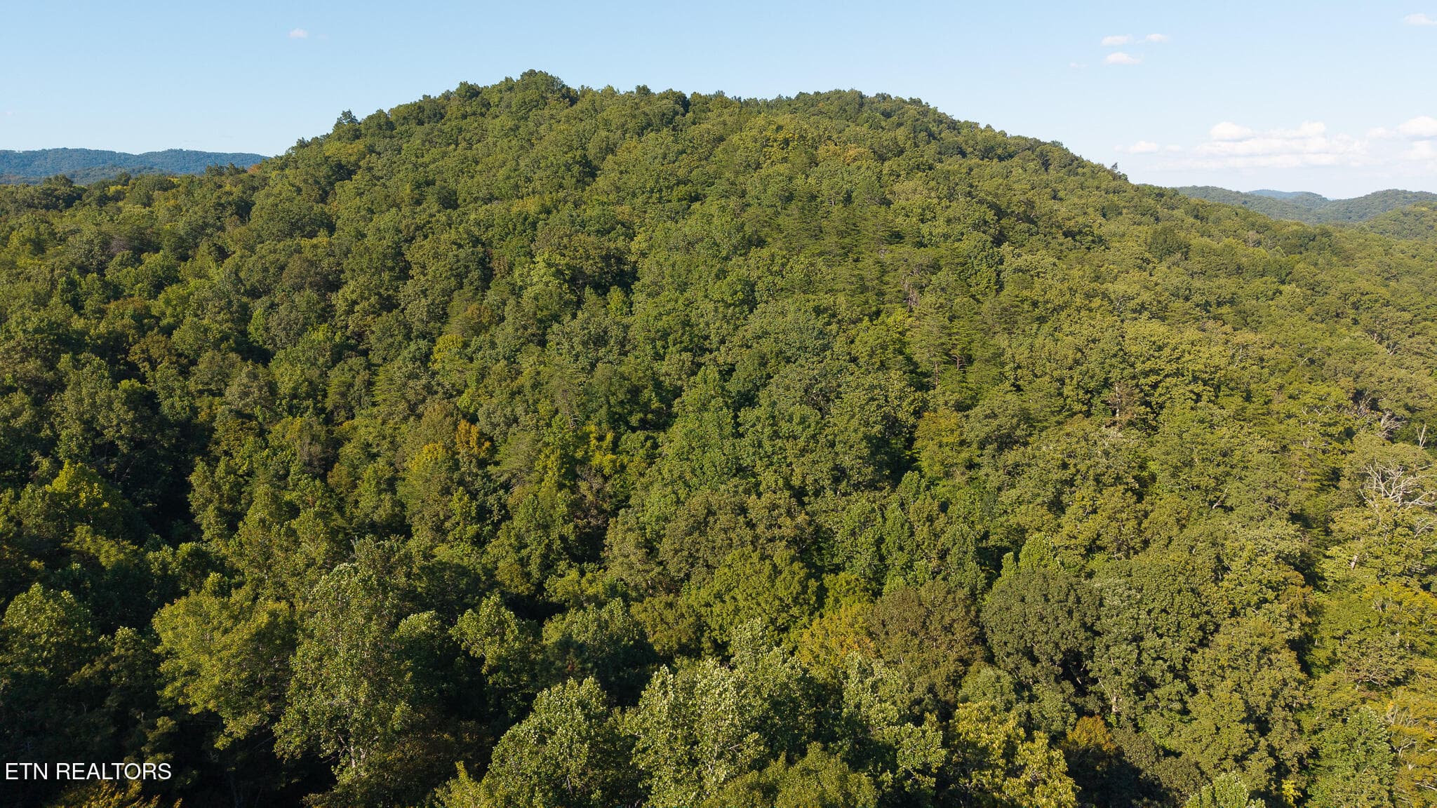 DJI_20250830173654_0380_D - 32.38 AC Off Panther Creek Rd, Sneedville, TN 37869