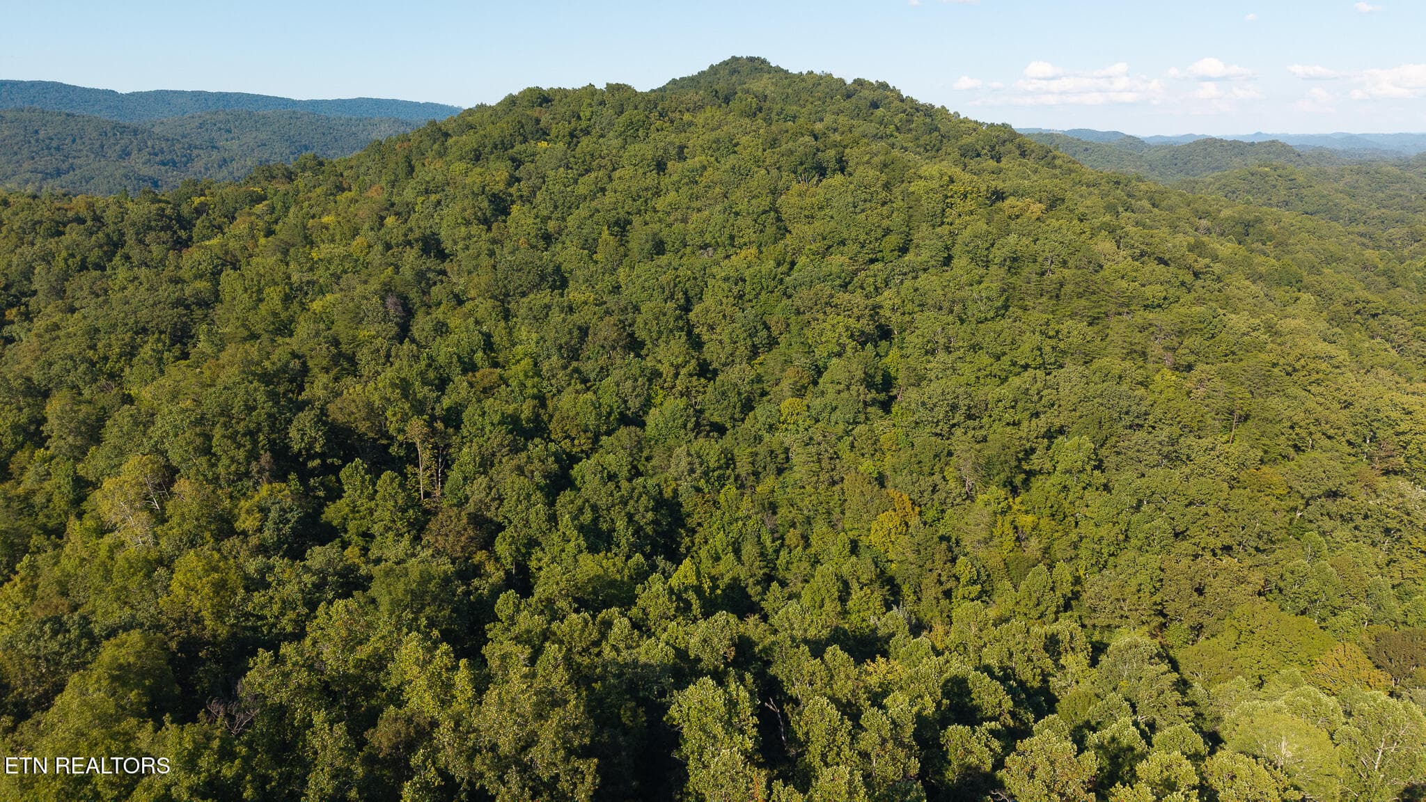 DJI_20250830173739_0382_D - 32.38 AC Off Panther Creek Rd, Sneedville, TN 37869