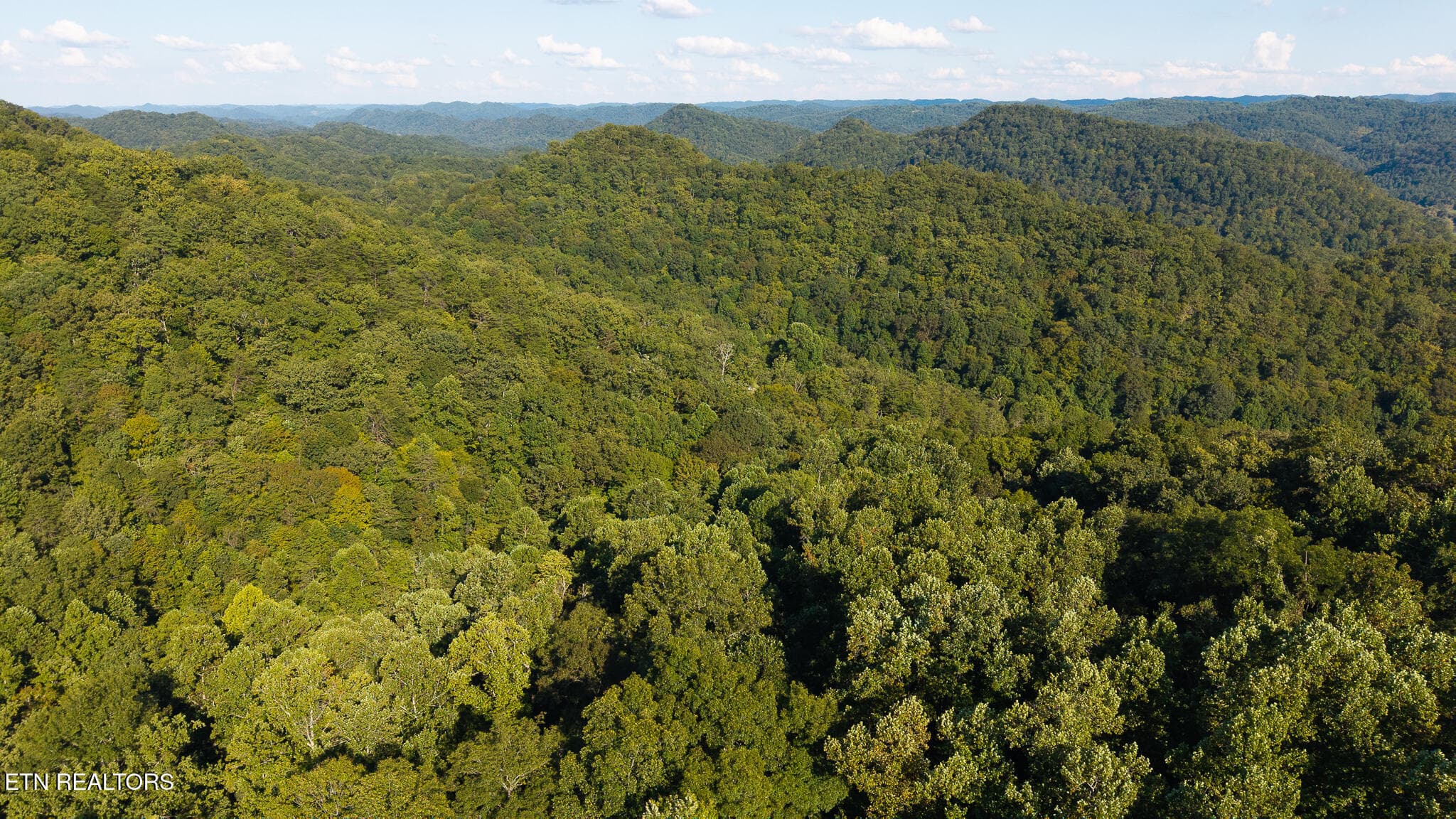 DJI_20250830173811_0384_D - 32.38 AC Off Panther Creek Rd, Sneedville, TN 37869