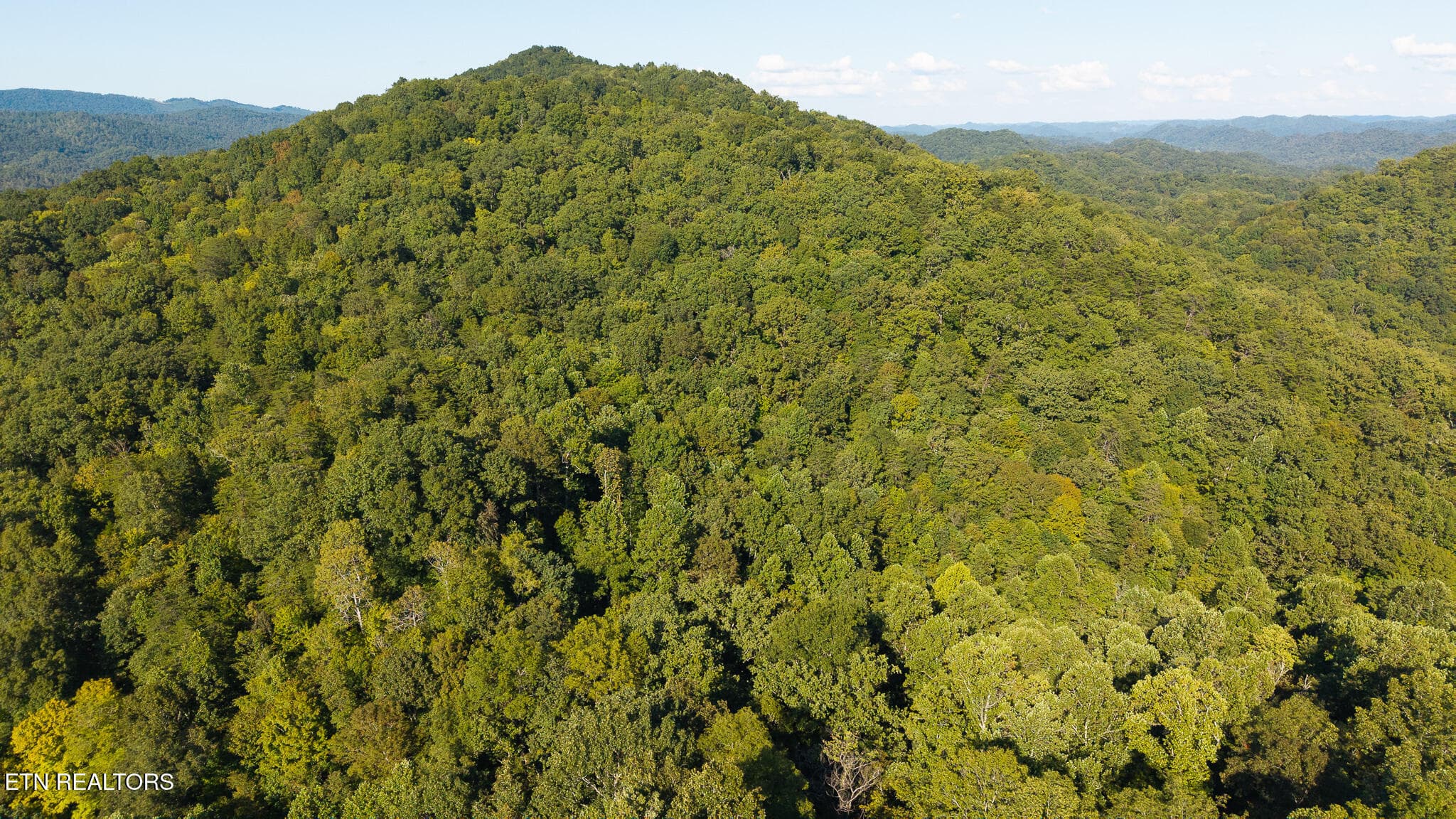 DJI_20250830173818_0385_D - 32.38 AC Off Panther Creek Rd, Sneedville, TN 37869