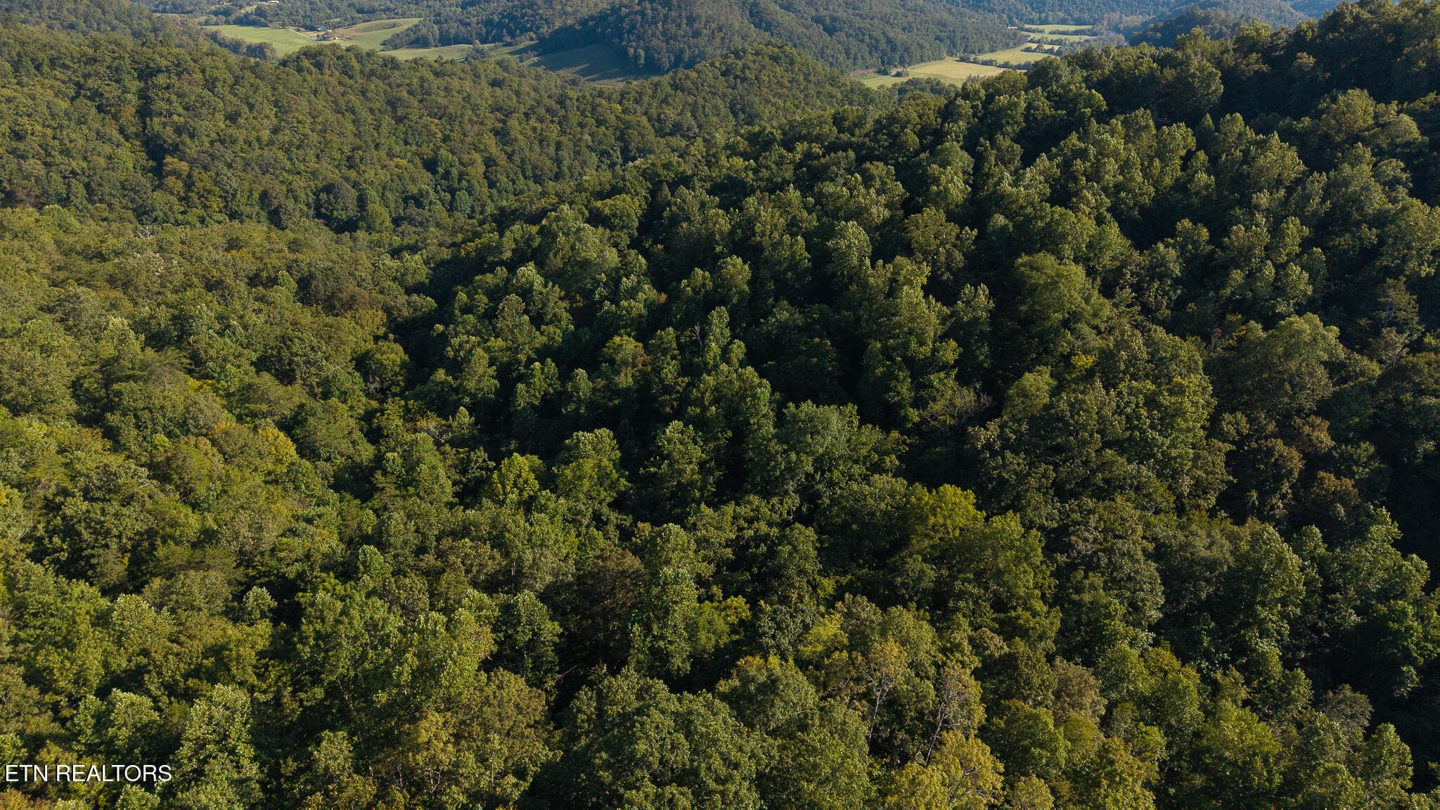 DJI_20250830173840_0386_D - 32.38 AC Off Panther Creek Rd, Sneedville, TN 37869