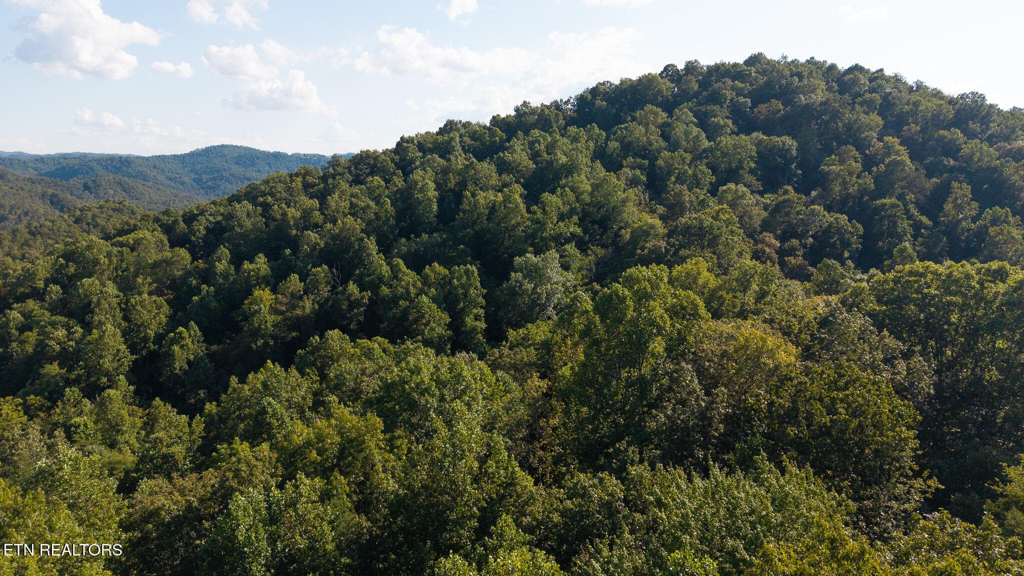 DJI_20250830173944_0389_D - 32.38 AC Off Panther Creek Rd, Sneedville, TN 37869