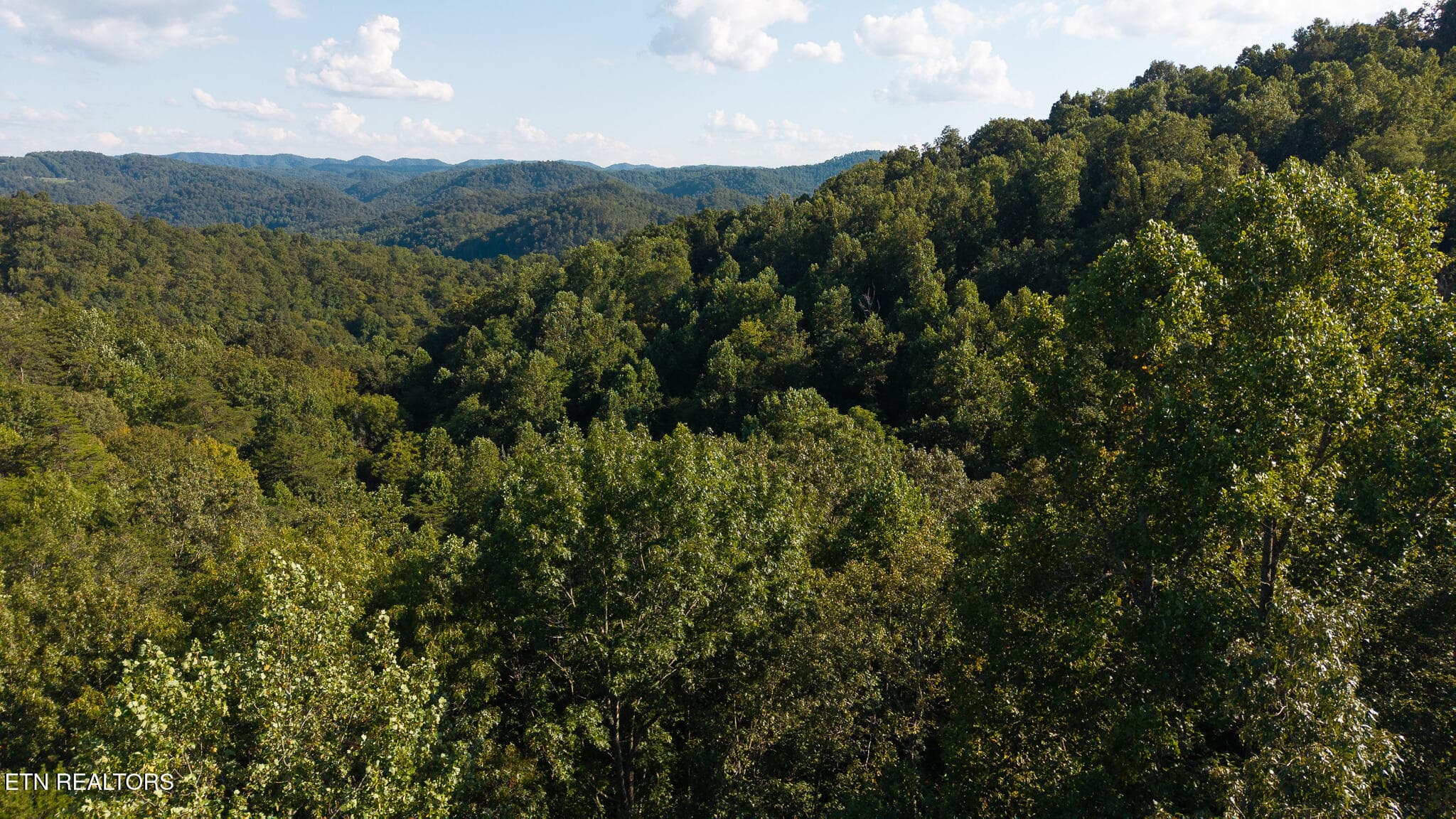 DJI_20250830173958_0390_D - 32.38 AC Off Panther Creek Rd, Sneedville, TN 37869