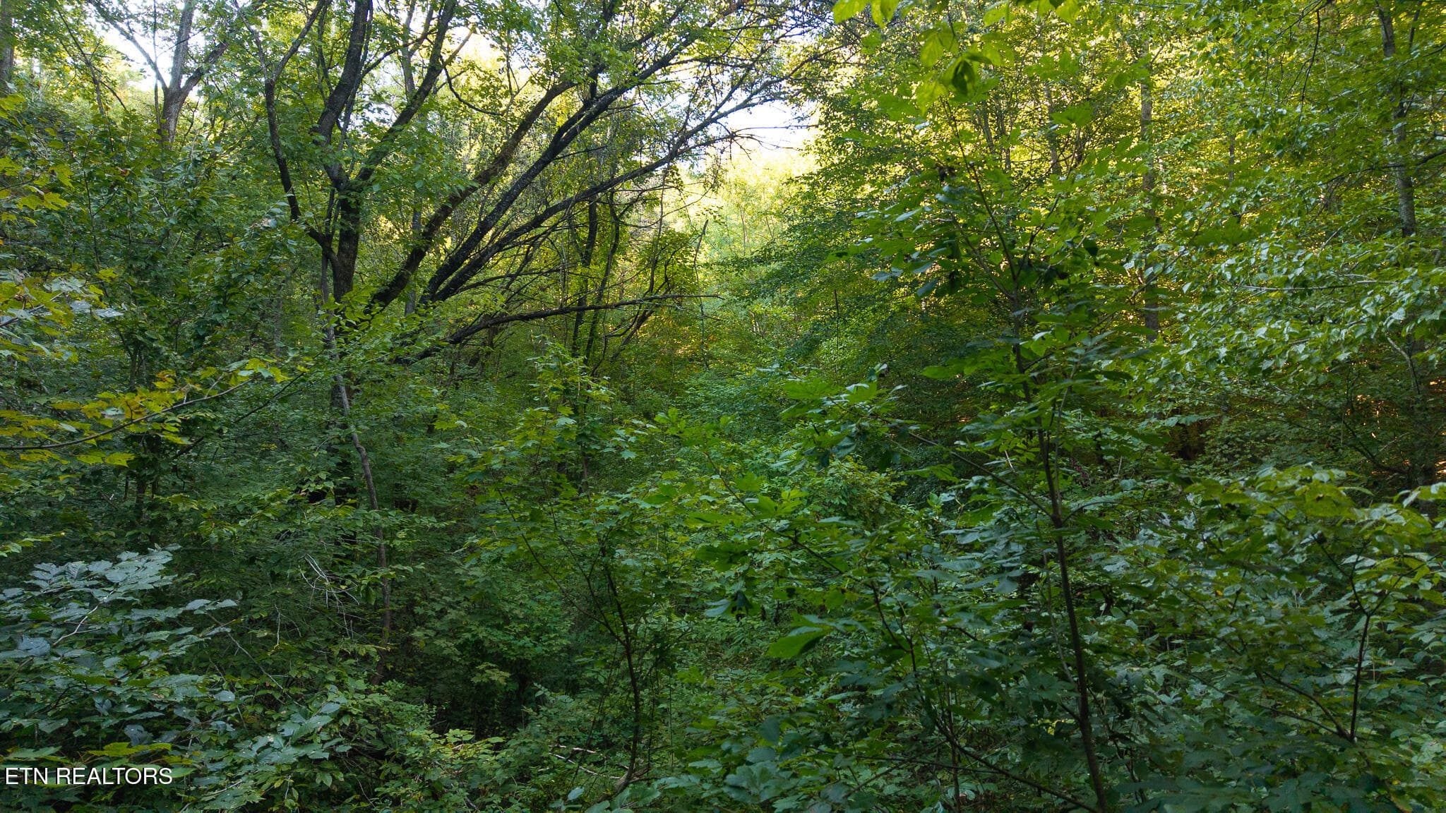 DJI_20250830180021_0407_D - 32.38 AC Off Panther Creek Rd, Sneedville, TN 37869