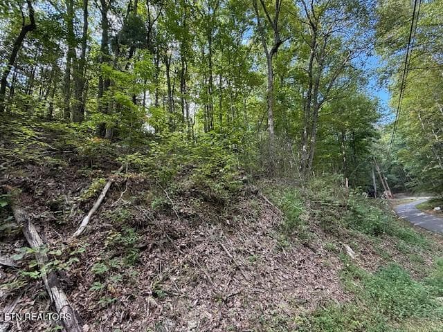 1329 12 - 1329 Ski View Lane, Sevierville, TN 37876
