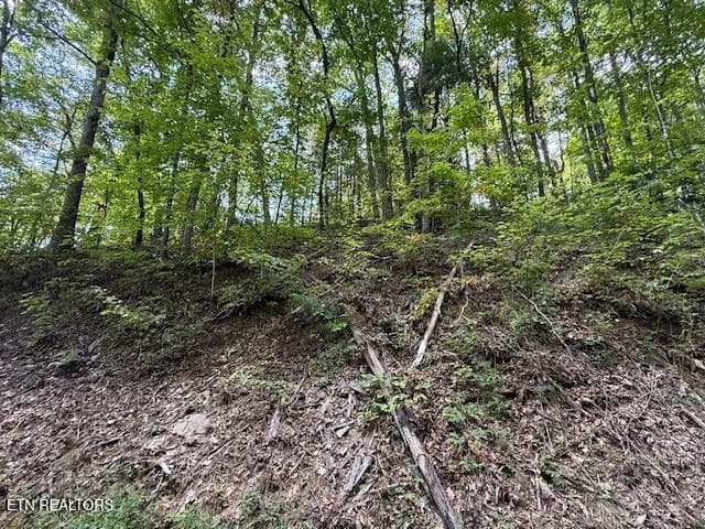 1329 11 - 1329 Ski View Lane, Sevierville, TN 37876