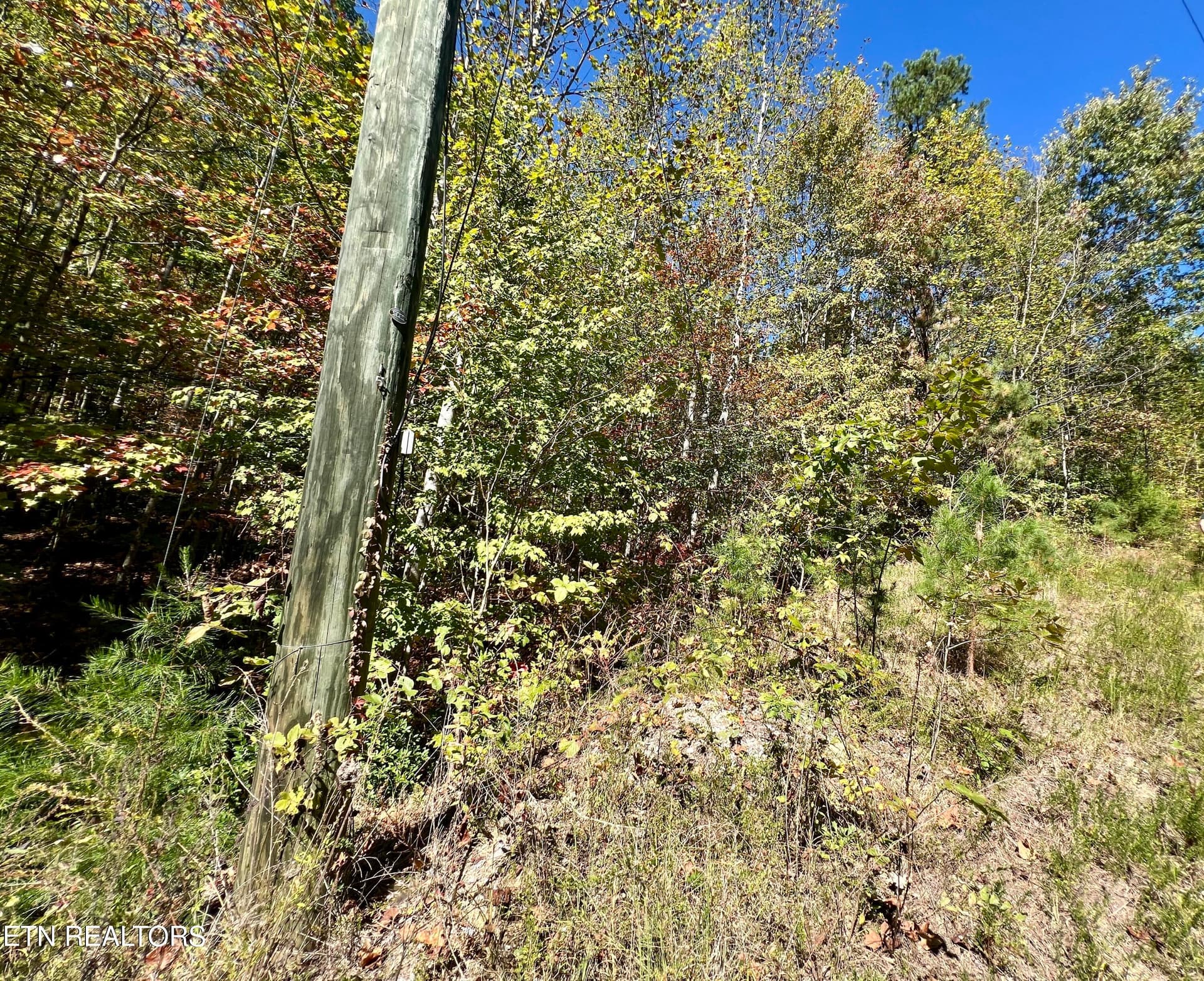 20251012_180709058_iOS - 6 acres Creek Hollow Way, Sevierville, TN 37876