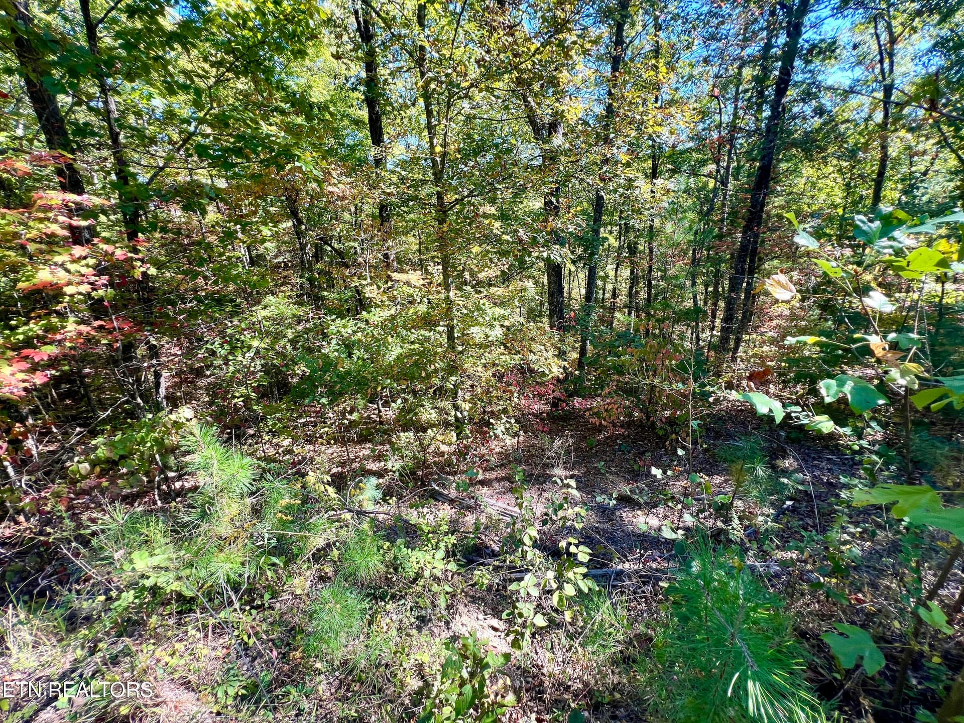 20251012_180934154_iOS - 6 acres Creek Hollow Way, Sevierville, TN 37876