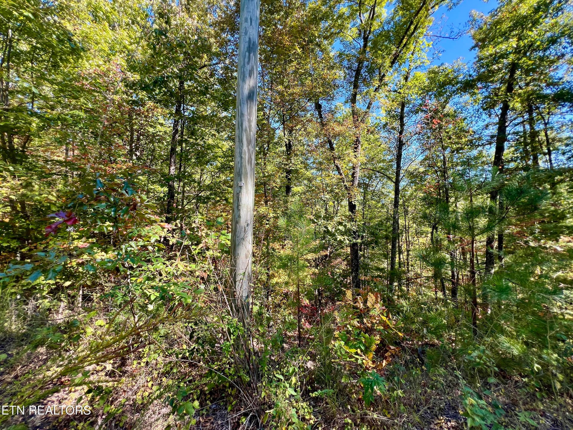 20251012_181704199_iOS - 6 acres Creek Hollow Way, Sevierville, TN 37876