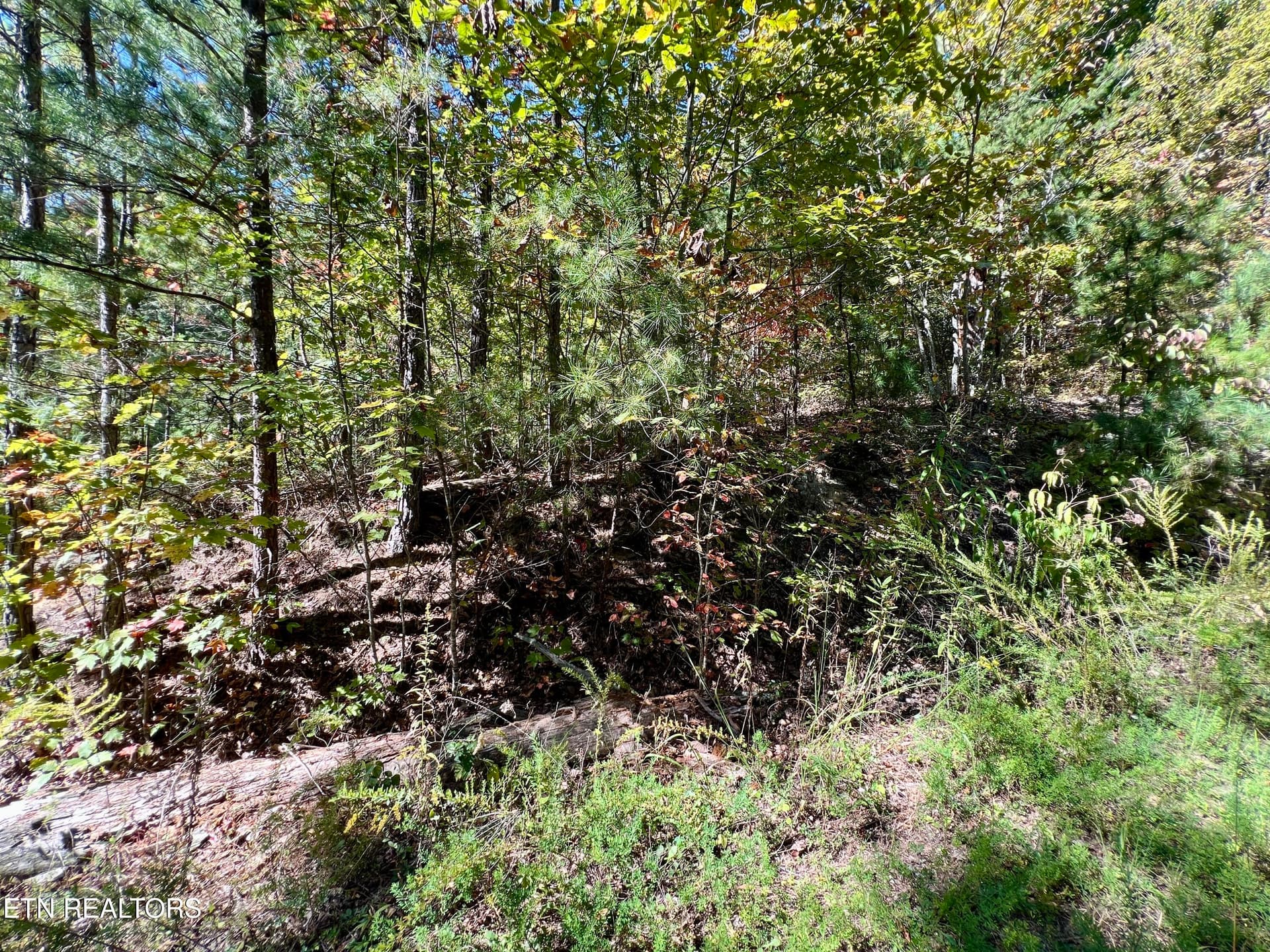 20251012_181708766_iOS - 6 acres Creek Hollow Way, Sevierville, TN 37876