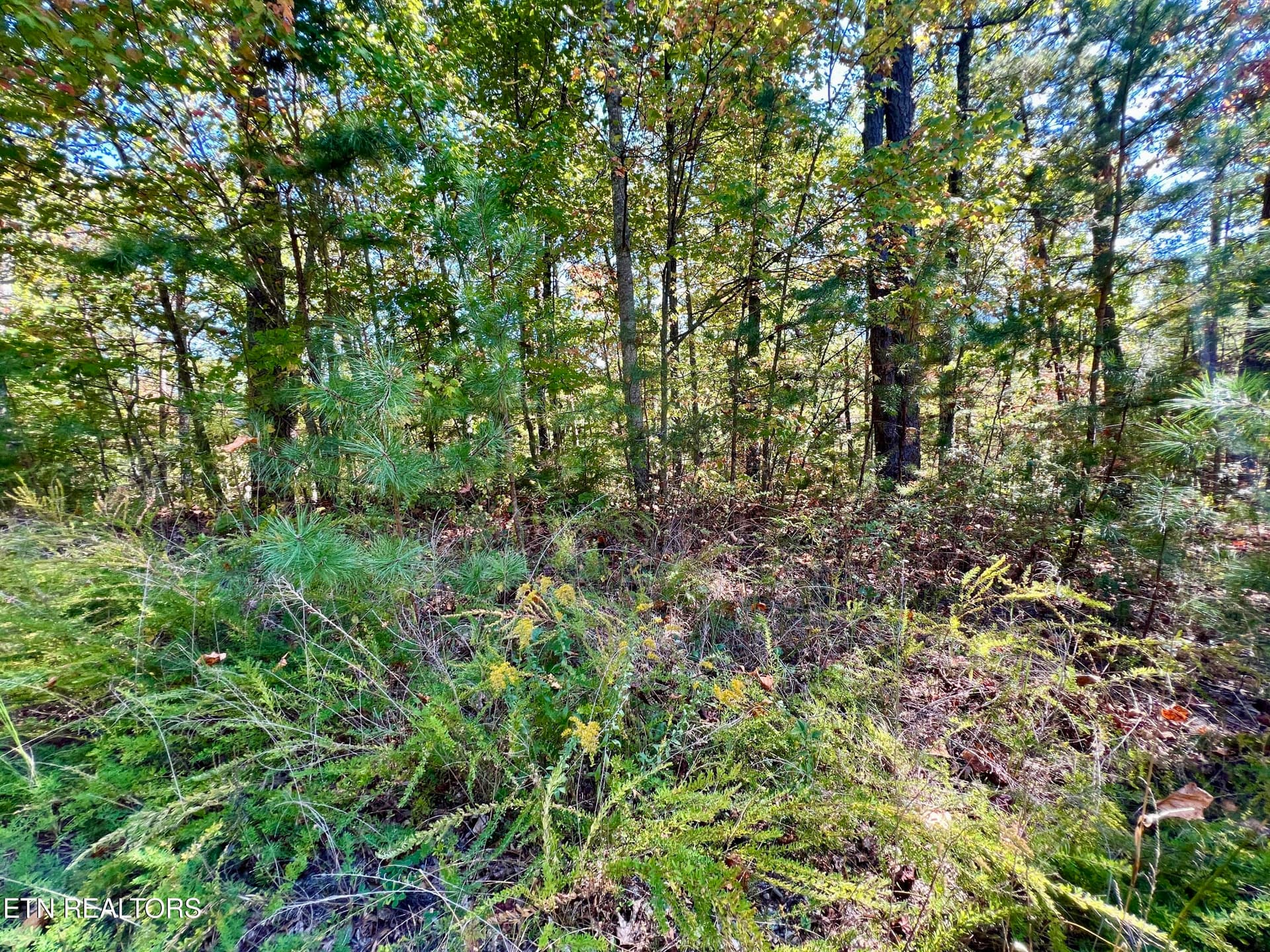 20251012_181726510_iOS - 6 acres Creek Hollow Way, Sevierville, TN 37876