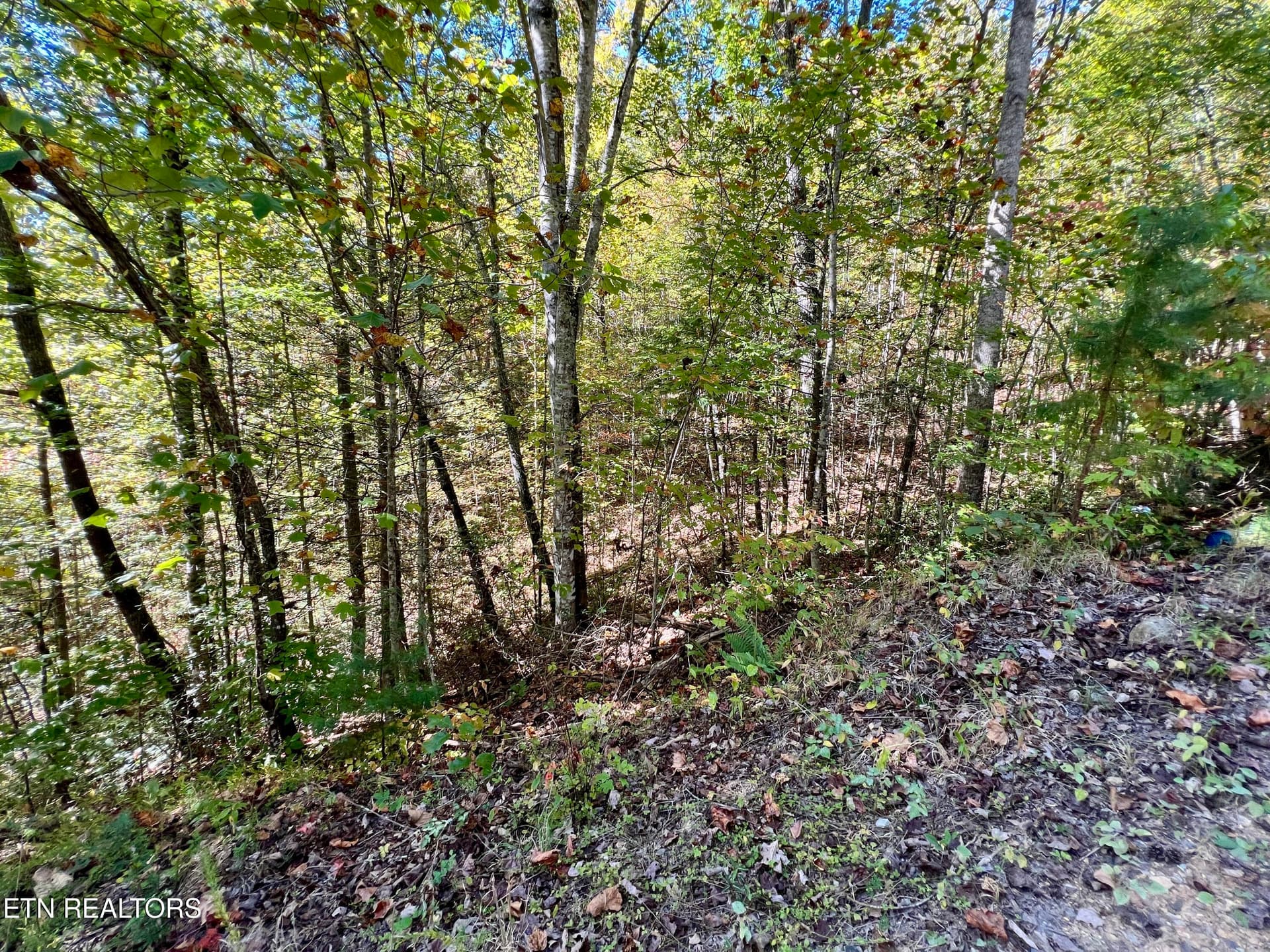 20251012_181841149_iOS - 6 acres Creek Hollow Way, Sevierville, TN 37876
