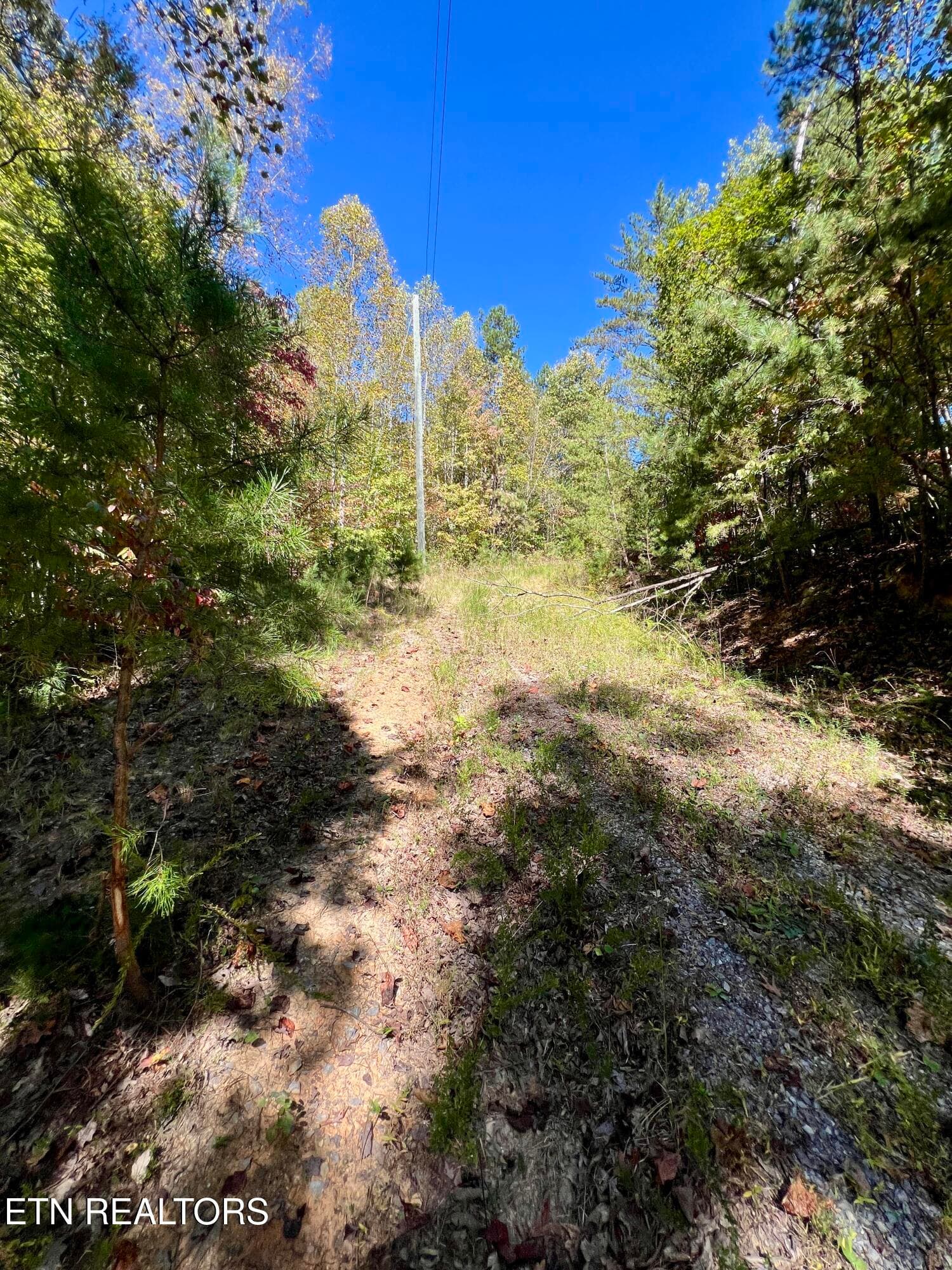 20251012_181843503_iOS - 6 acres Creek Hollow Way, Sevierville, TN 37876