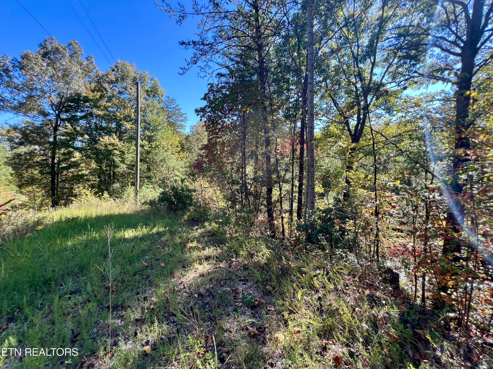 20251012_181925401_iOS - 6 acres Creek Hollow Way, Sevierville, TN 37876