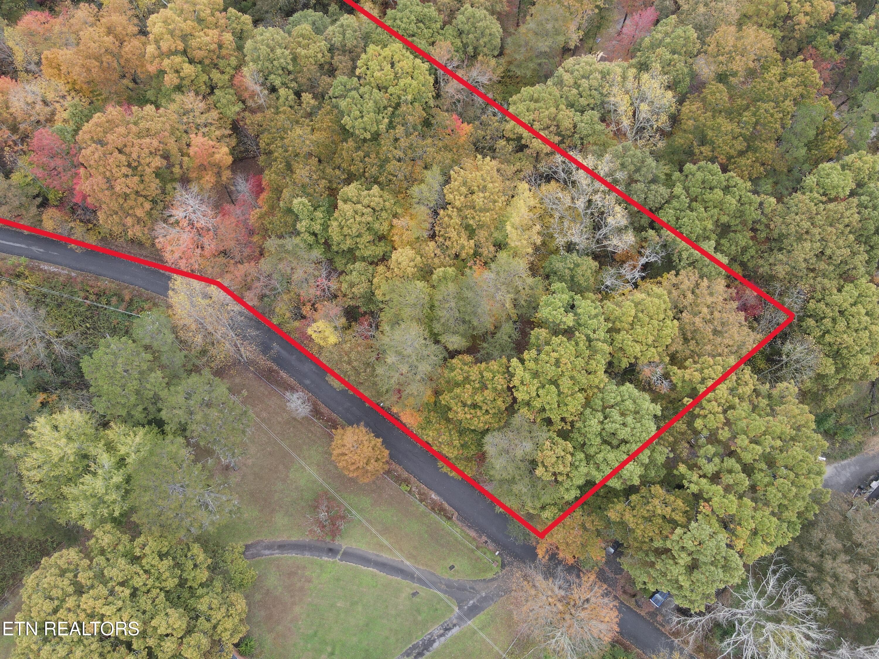 Area 1 - 118 Pleasant View Loop Rd, Clinton, TN 37716, Clinton