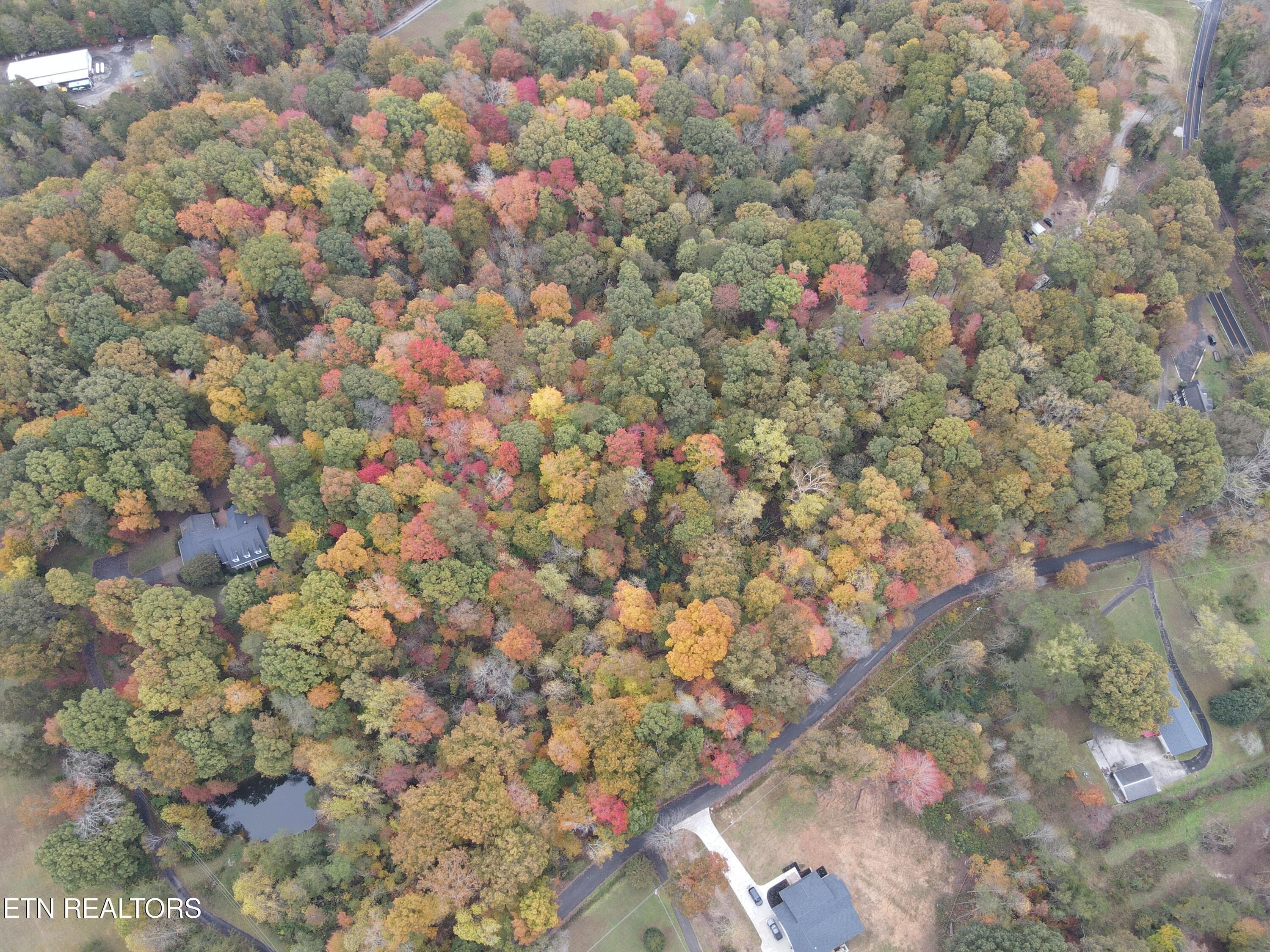 DJI_0341 - 118 Pleasant View Loop Rd, Clinton, TN 37716, Clinton