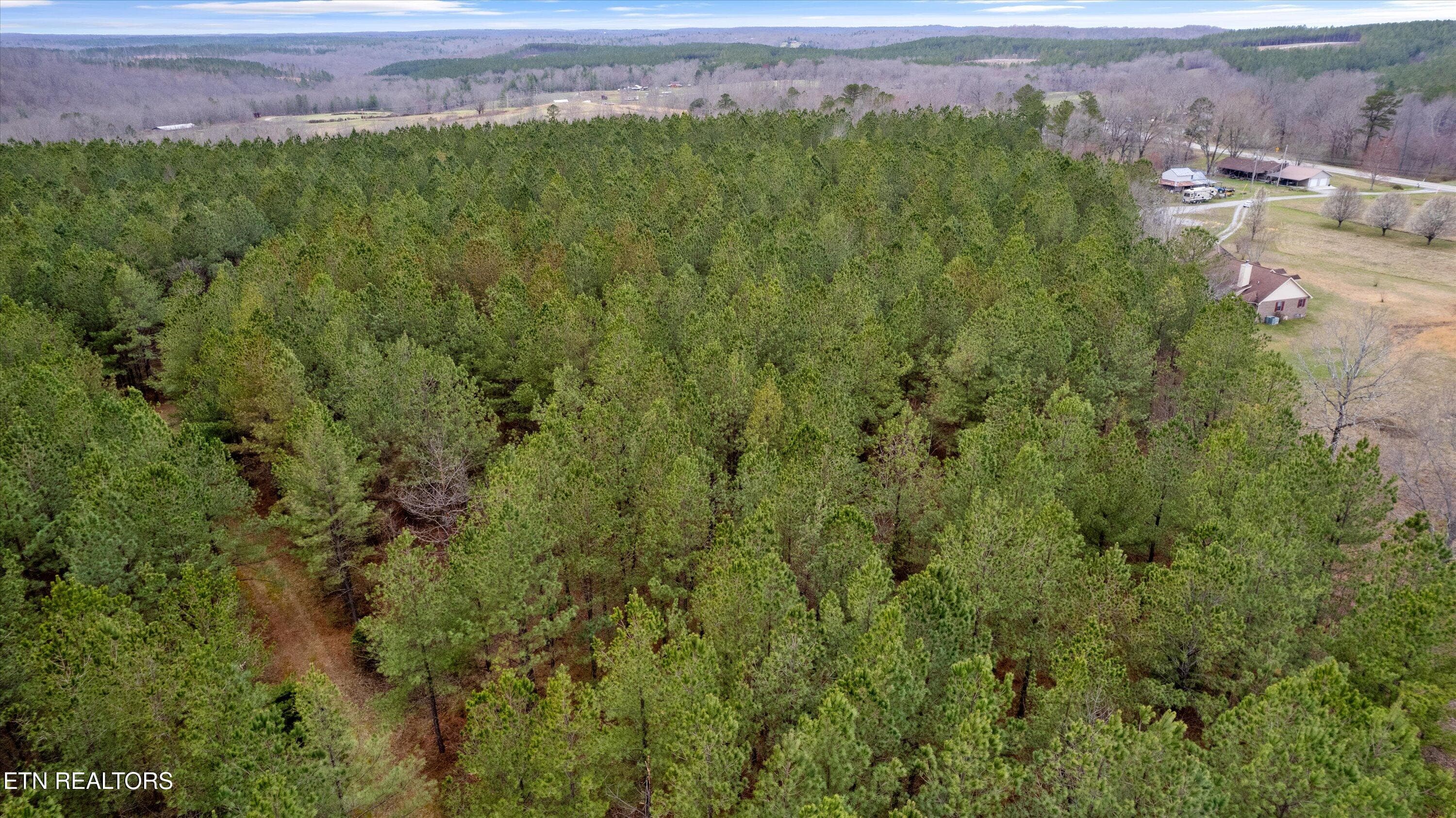 Mature Hardwood Timber - 0 Morgan Co Hwy, Sunbright, TN 37872