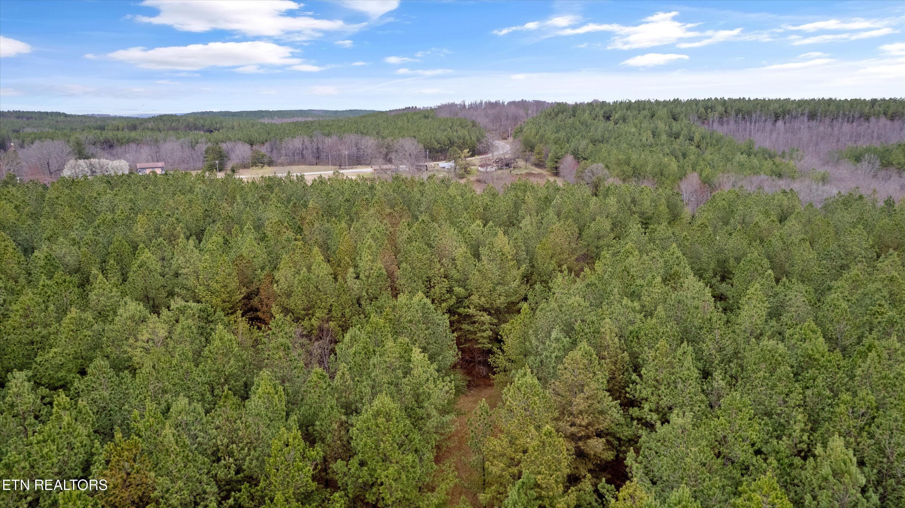 Expansive Wooded Acreage - 0 Morgan Co Hwy, Sunbright, TN 37872