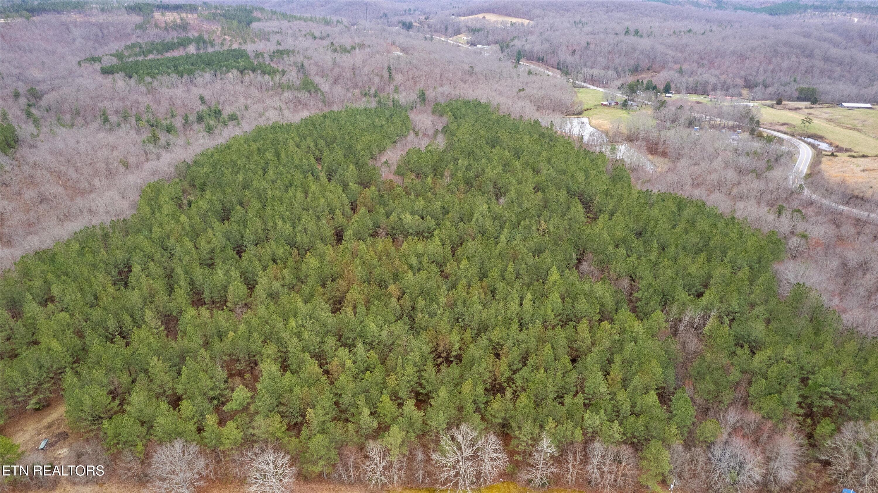 Aerial View of Property in the Winter - 0 Morgan Co Hwy, Sunbright, TN 37872