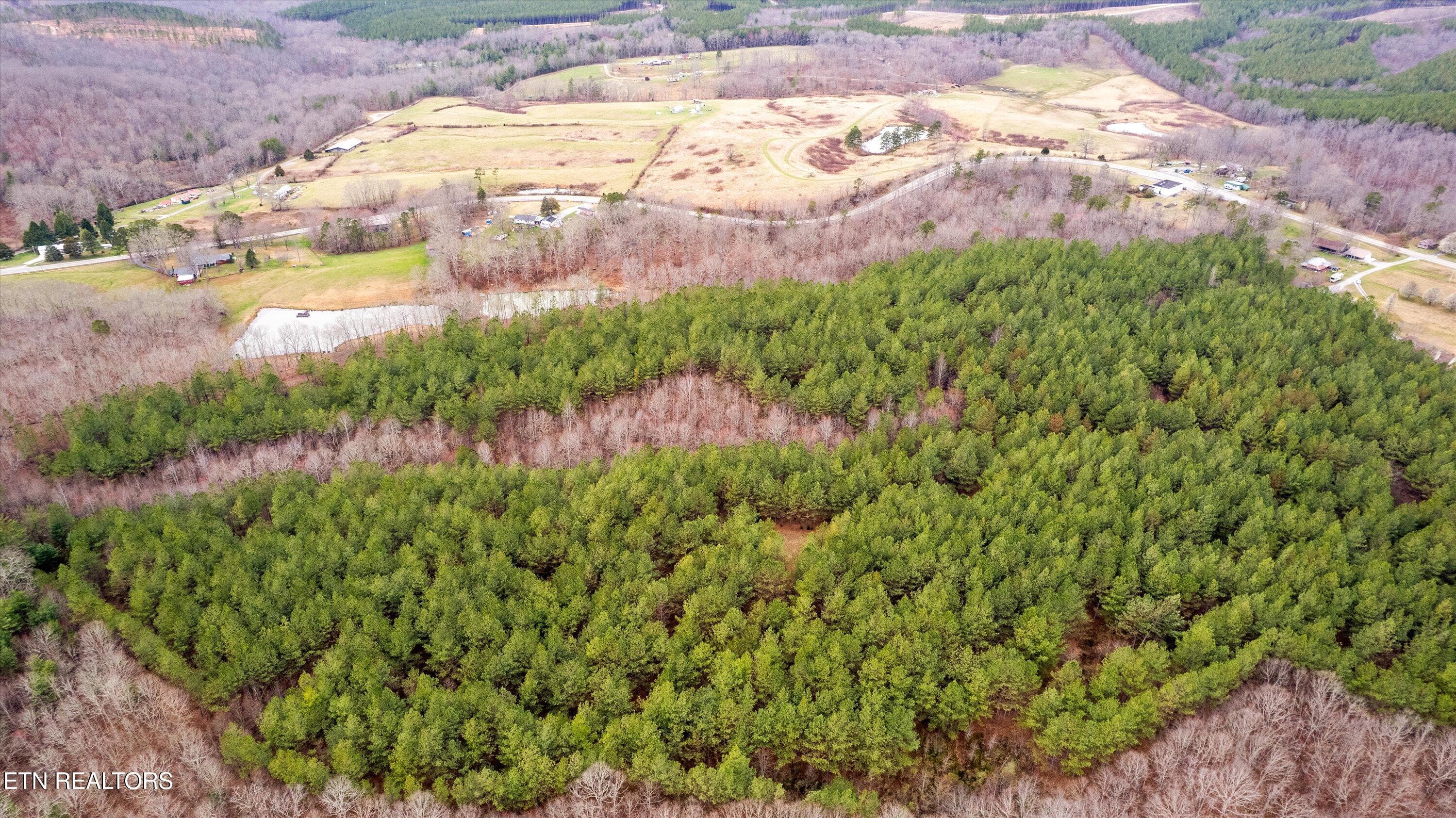 Aerial View of Property in the Winter - 0 Morgan Co Hwy, Sunbright, TN 37872