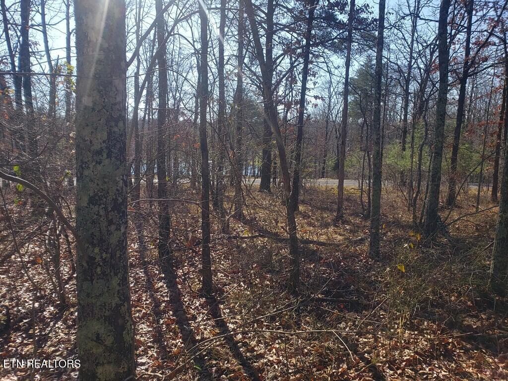 201800_2 - Lot 44 Hemlock Lane, Spencer, TN 38585