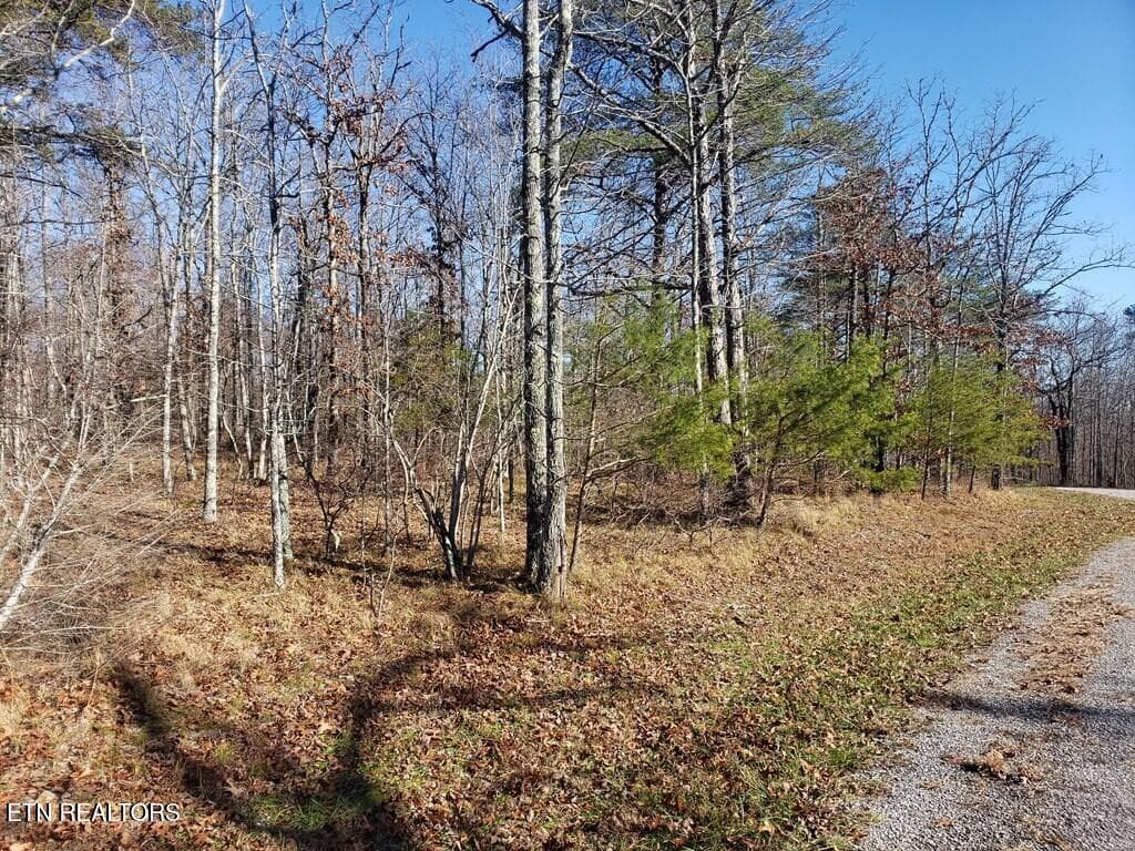 201800_5 - Lot 44 Hemlock Lane, Spencer, TN 38585