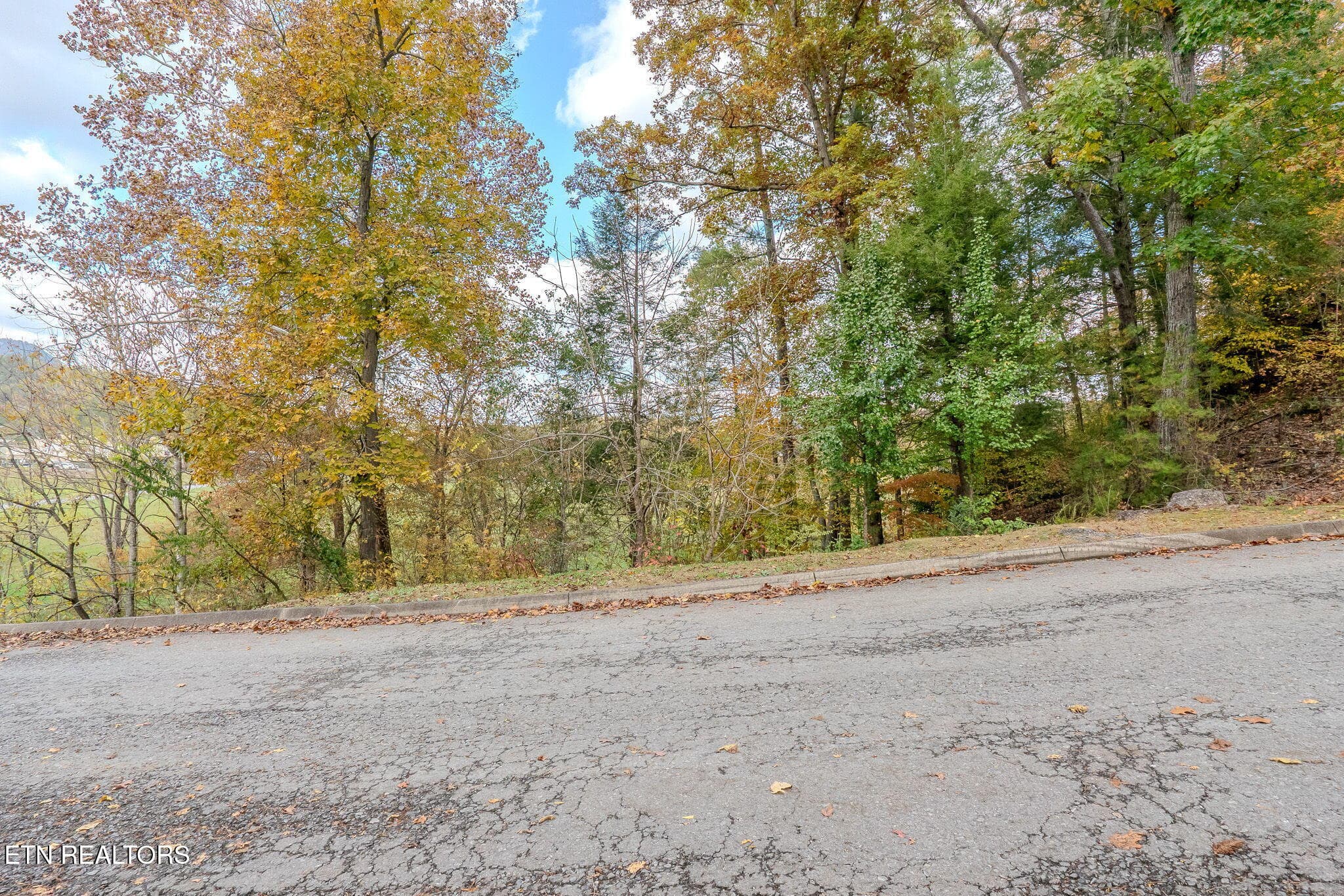 7-web-or-mls-_DSC9490-HDR - Lot 5 Mountain Lodge Way, Sevierville, TN 37862