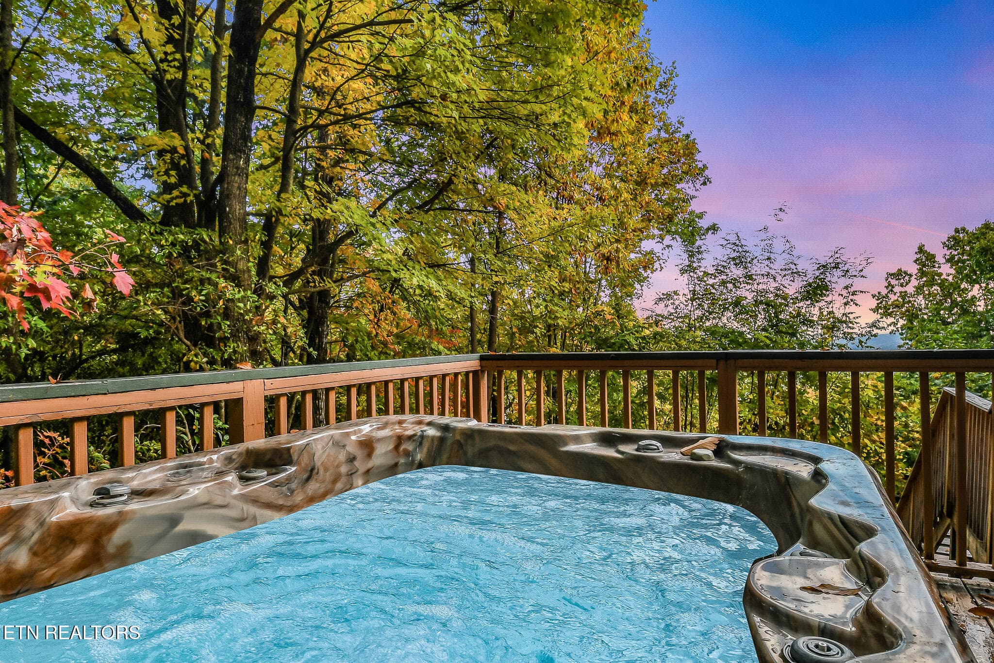 DSC_4106-1 - 1819 W Arolla Ct. Court, Gatlinburg, TN 37738, Gatlinburg