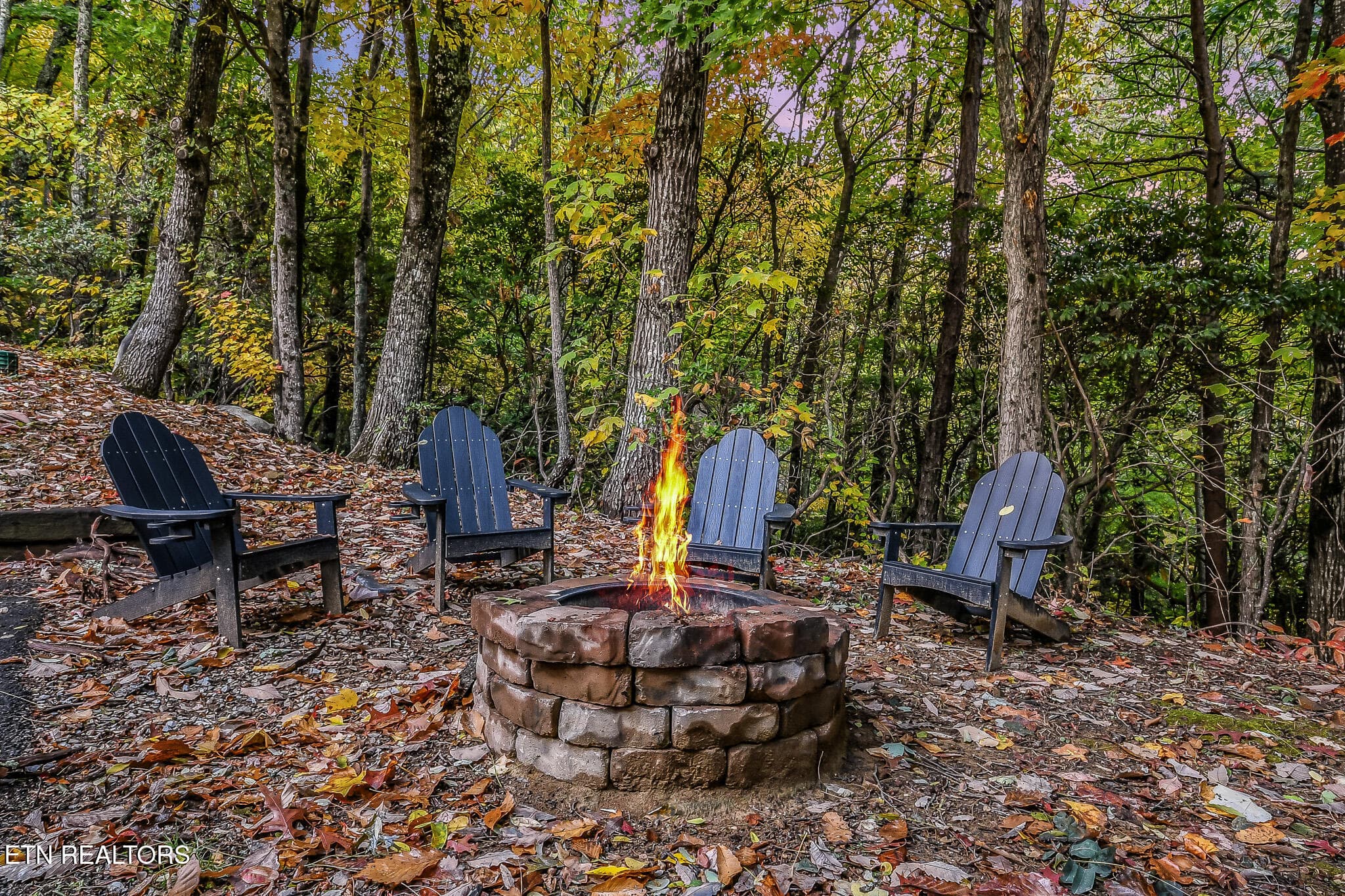 DSC_4091 - 1819 W Arolla Ct. Court, Gatlinburg, TN 37738, Gatlinburg