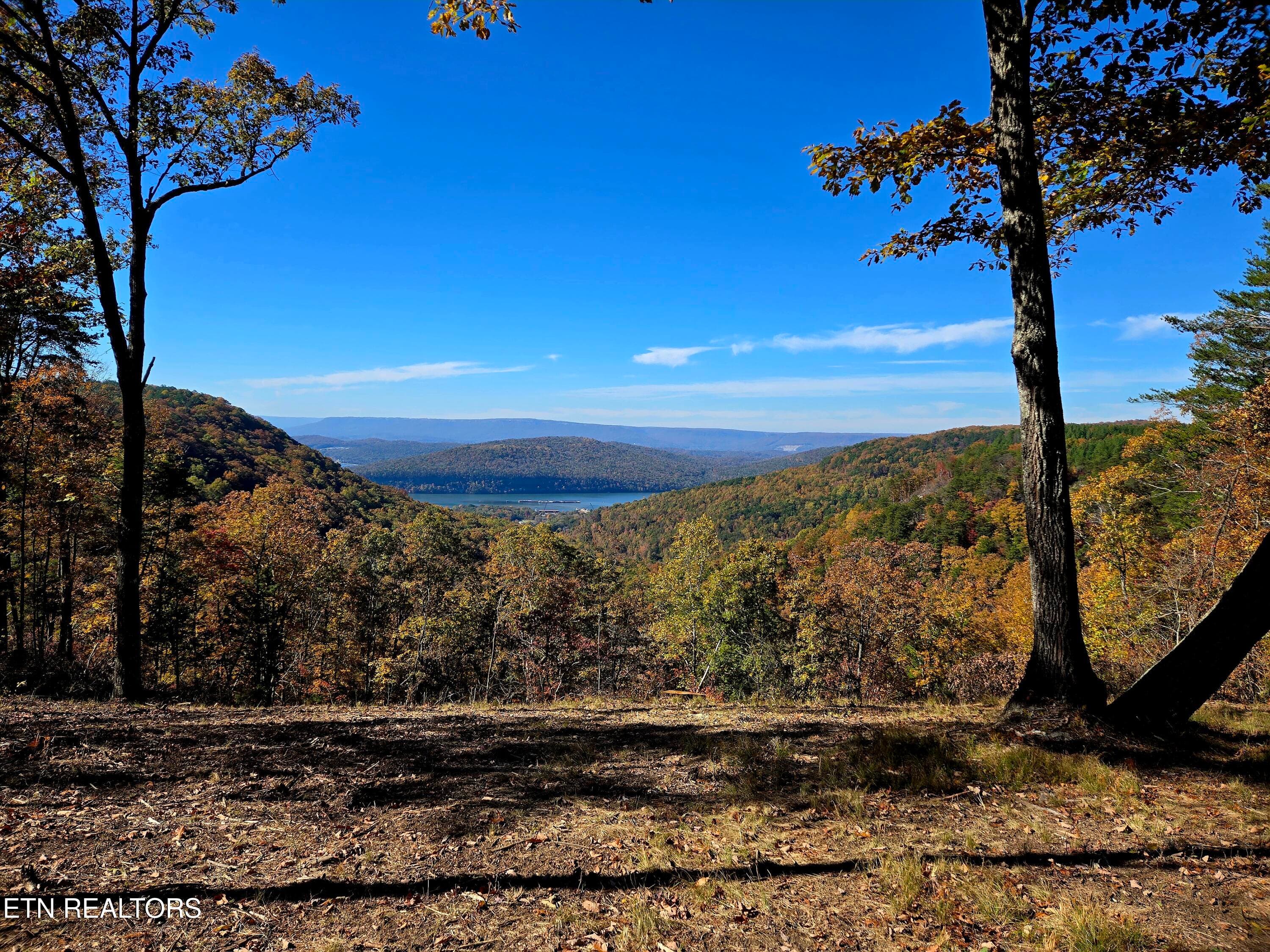 Place your firepit here - Lot 1070 Birds Eye Way, Guild, TN 37340