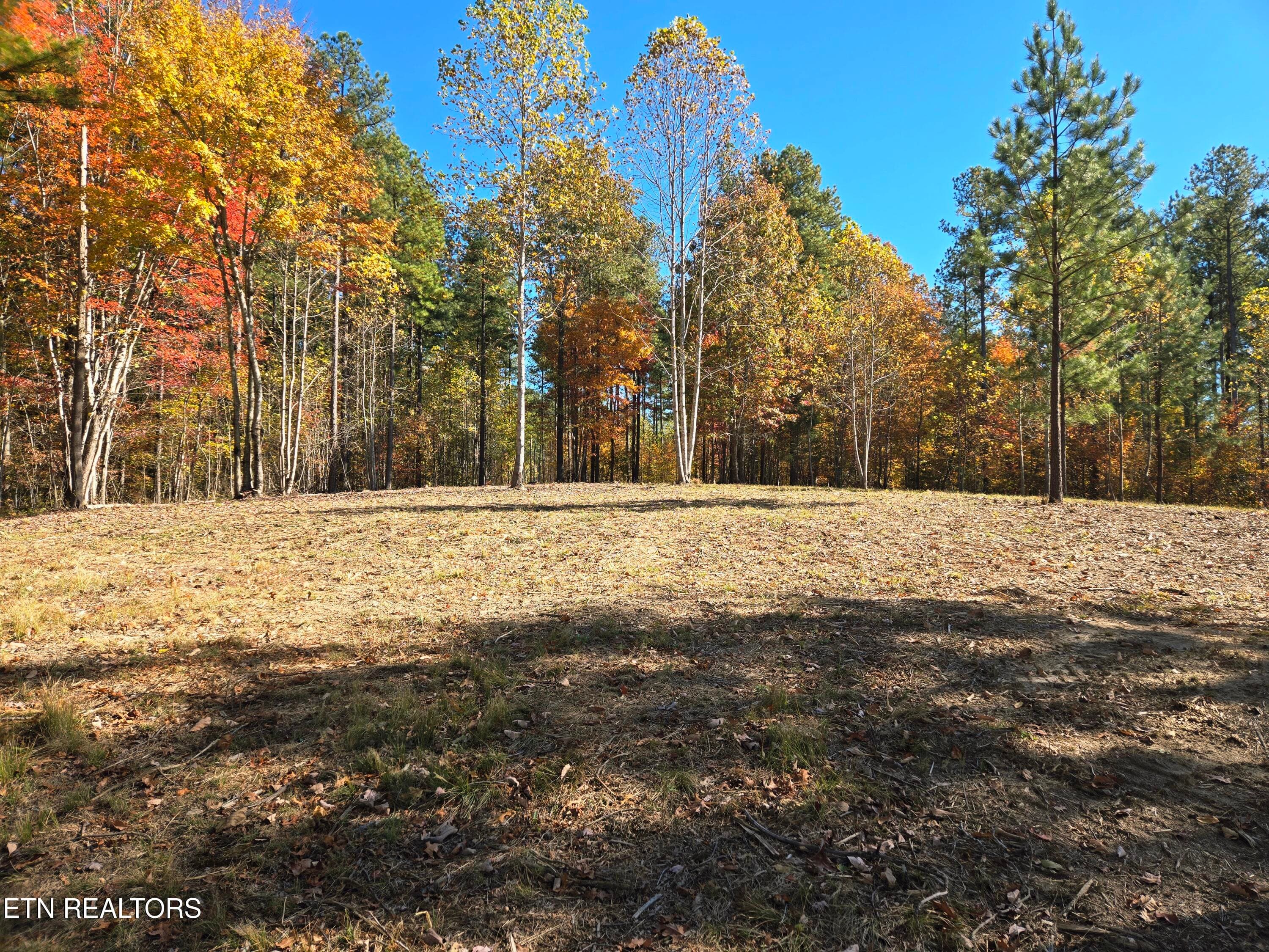 Soutern Boundary - Lot 1070 Birds Eye Way, Guild, TN 37340