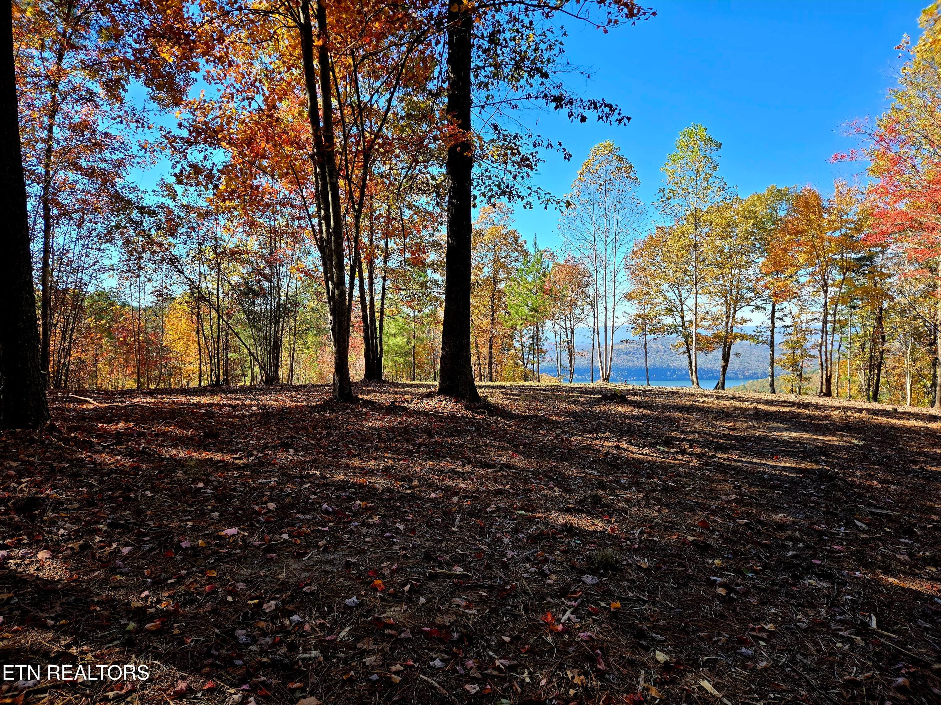 Approach to Building Site - Lot 1070 Birds Eye Way, Guild, TN 37340