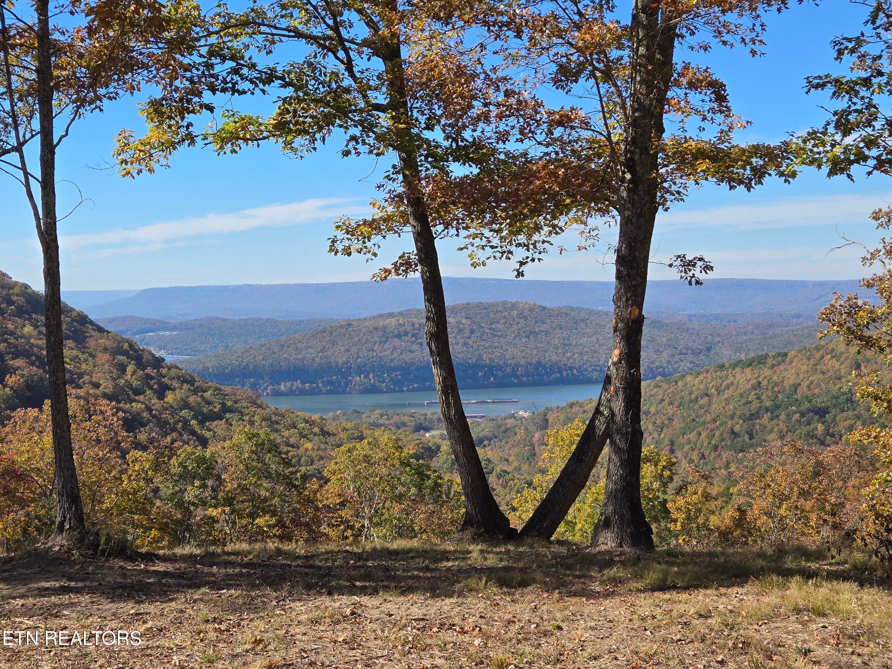 Building Site View - Lot 1070 Birds Eye Way, Guild, TN 37340