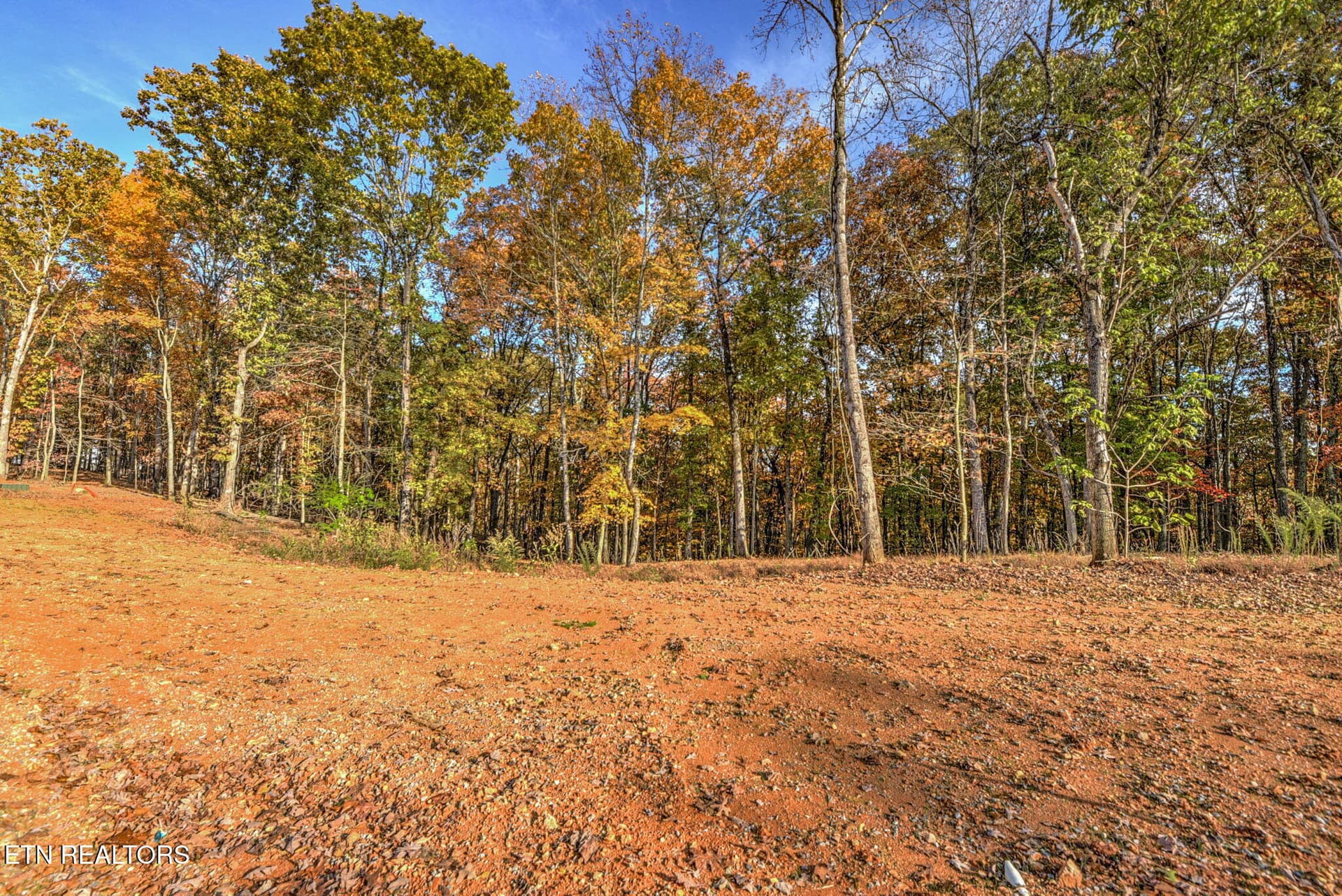 1000019181 - 3010 Old Dogwood Tr, Loudon, TN 37774